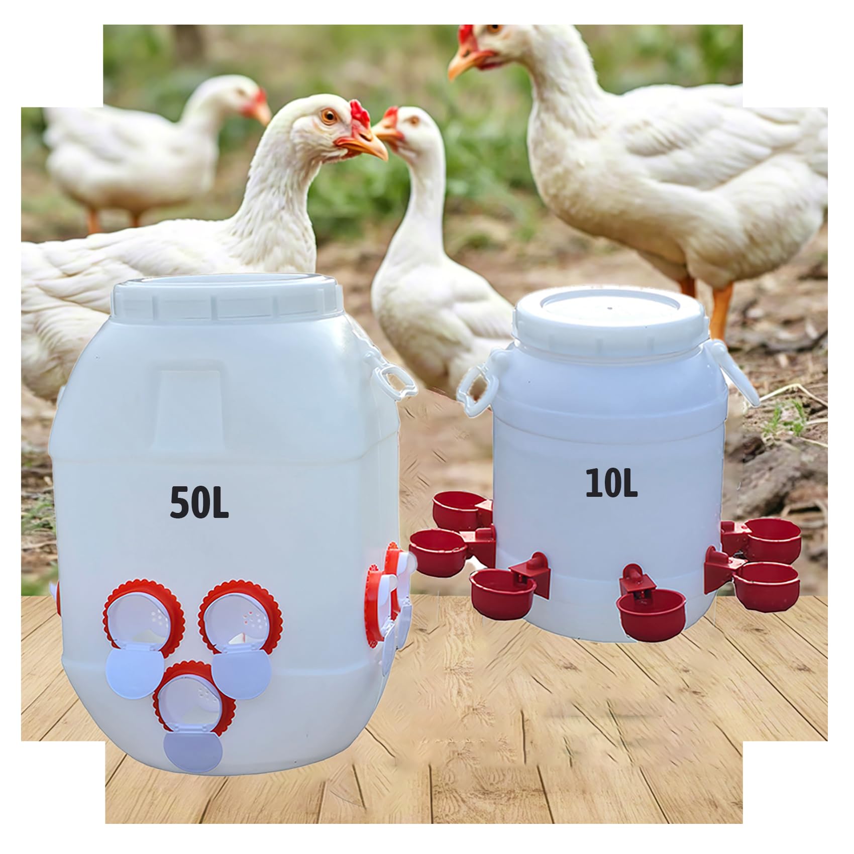 Comedero Automático 50L y Bebedero 10L para Gallinas/Patos - Diseño HDPE Antidesperdicio con Tapa Bloqueable, Sistema de Alimentación Inteligente para Granjas(Size:50L+10L)