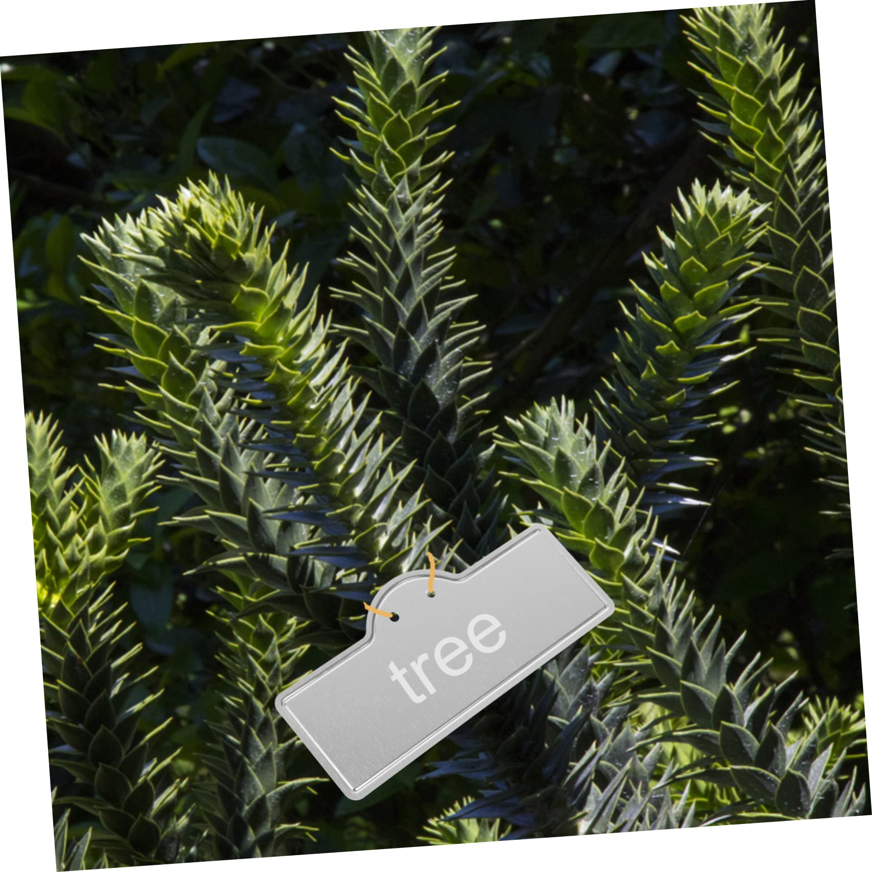 YARNOW 5 Set Etichette Per Piante Da Giardinaggio Pali Dell'etichetta Della Pianta Etichetta Di Identificazione Della Pianta Marcatori Di Piante Da Giardino Alluminio 20 Pezzi * 5