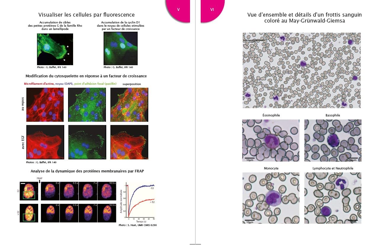 Le cours de biologie cellulaire et moléculaire - 5e éd.