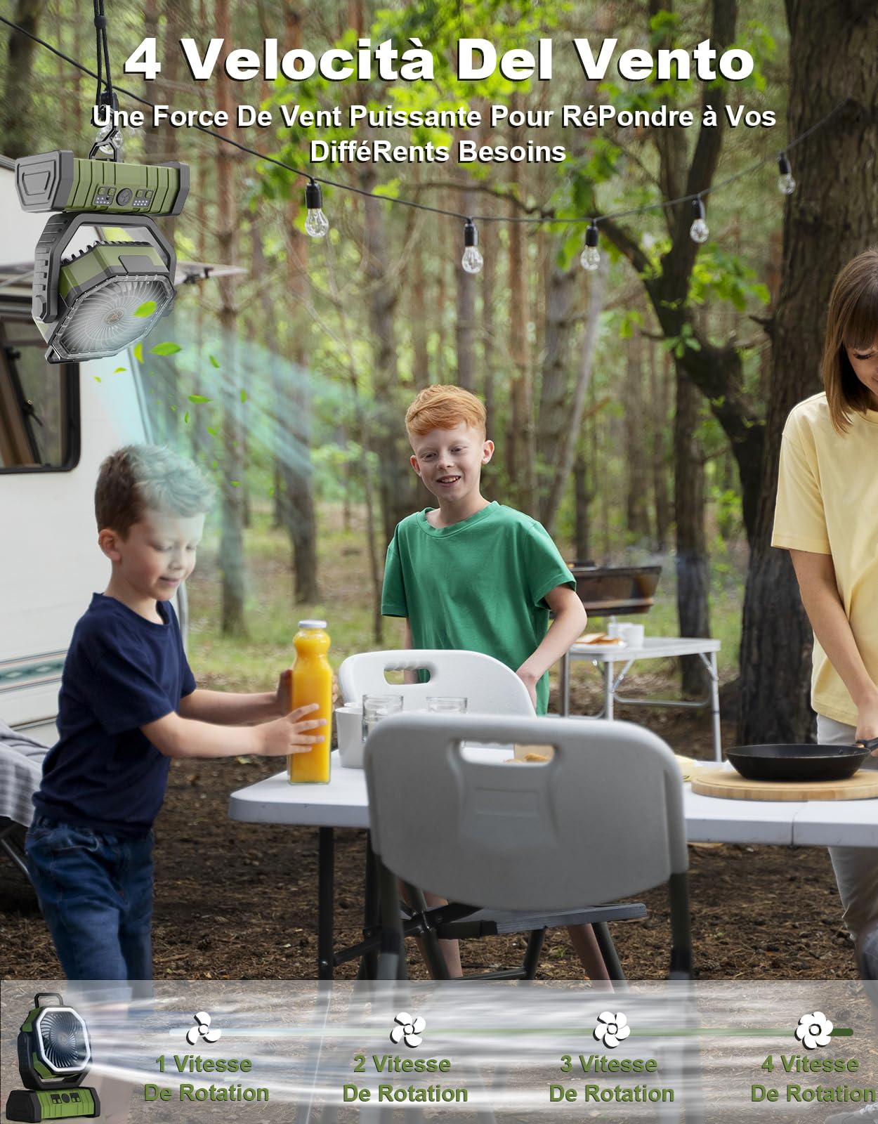 Bearing Cup National 25821 Taper - Premium Steel Replacement Part