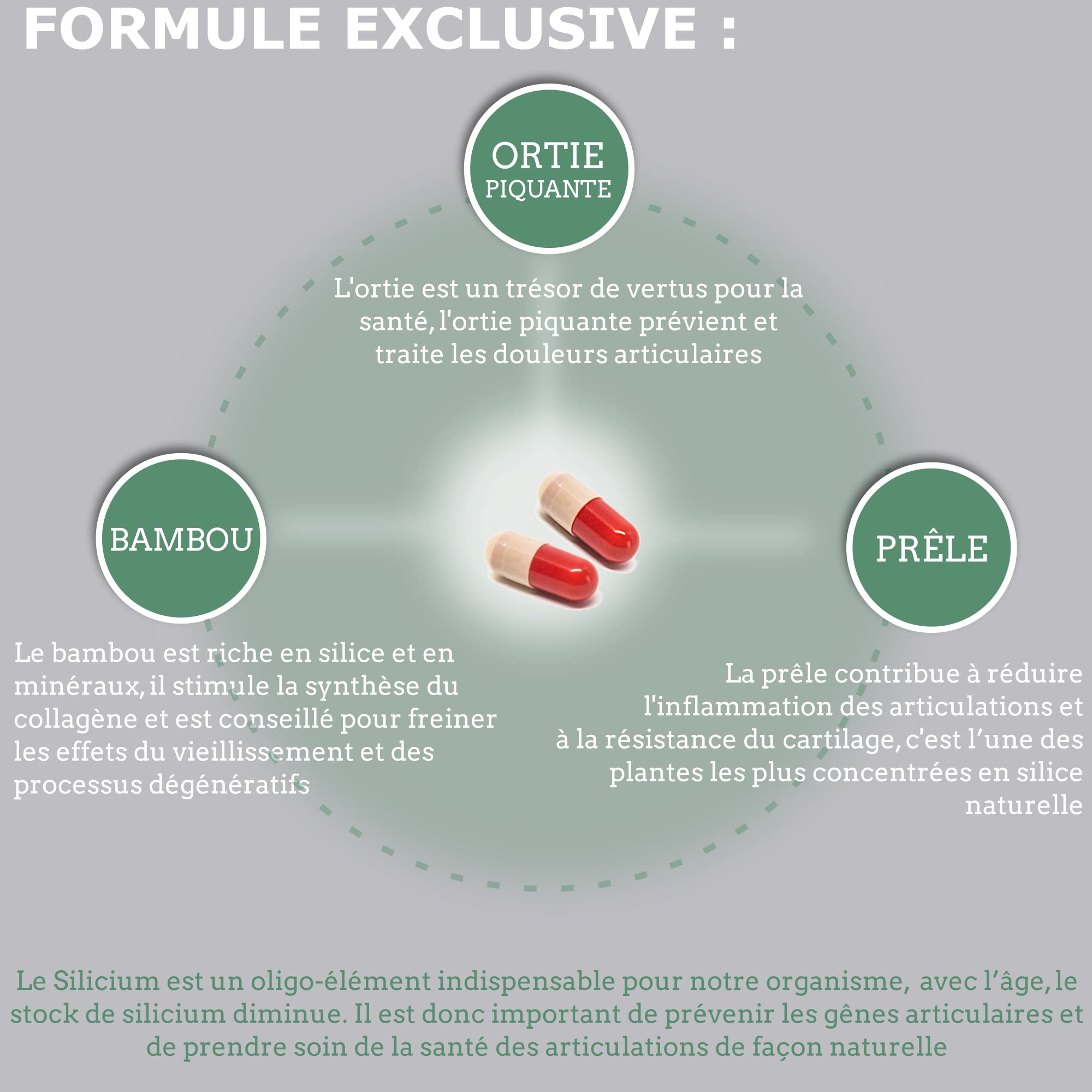 SILICIUM + | COMPLEXE ARTICULATIONS | FLEXIBILITÉ | RENFORCEMENT | Ortie piquante, Prêle, Bambou | 120 Gélules | FORTYFIA | Fabriqué En France