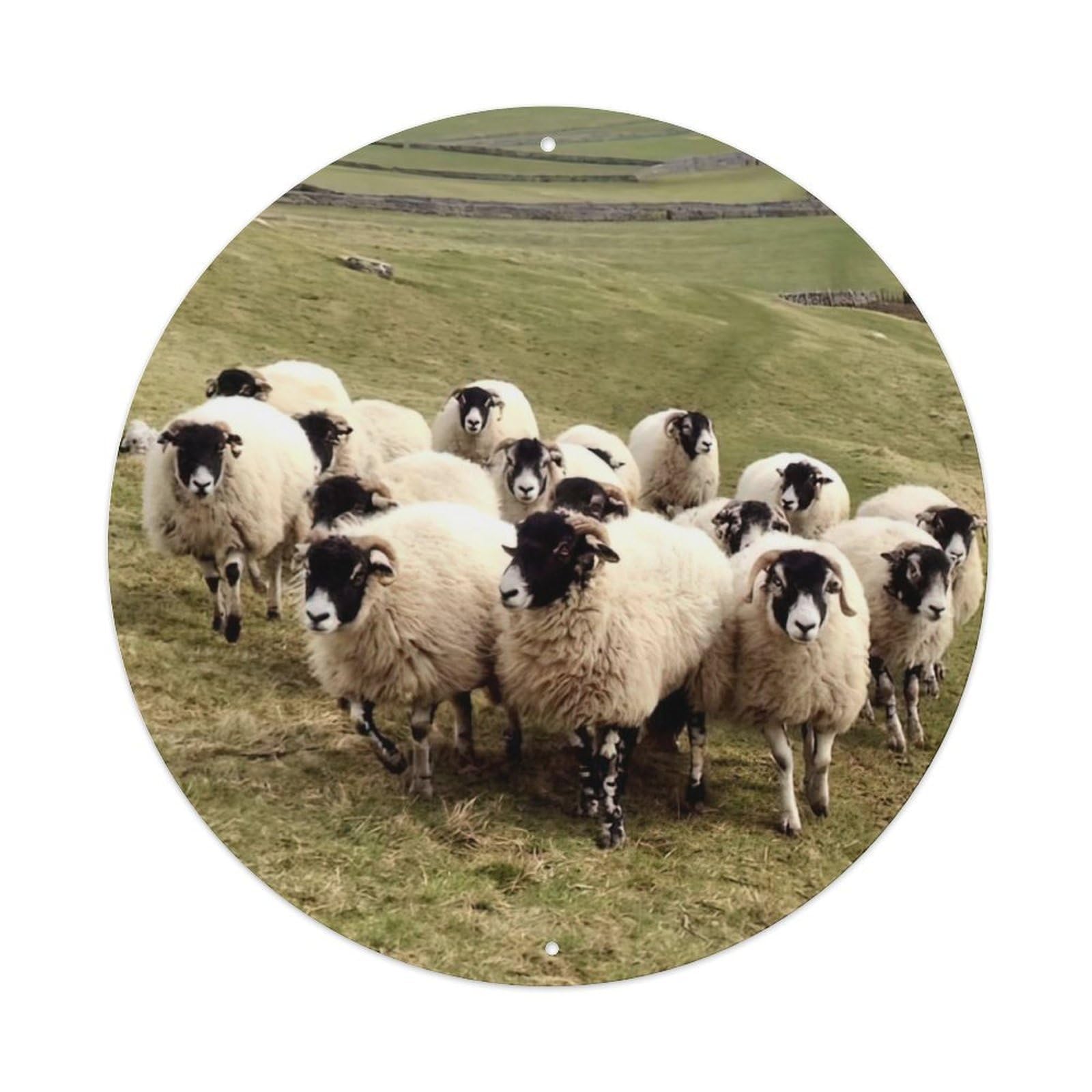 Animal Artwork Langke Sheep Vintage Metal Tin Sign Plaque Wall Decor for Cafe, Club Bar, Office, Garden Metal Poster 8x8Inch
