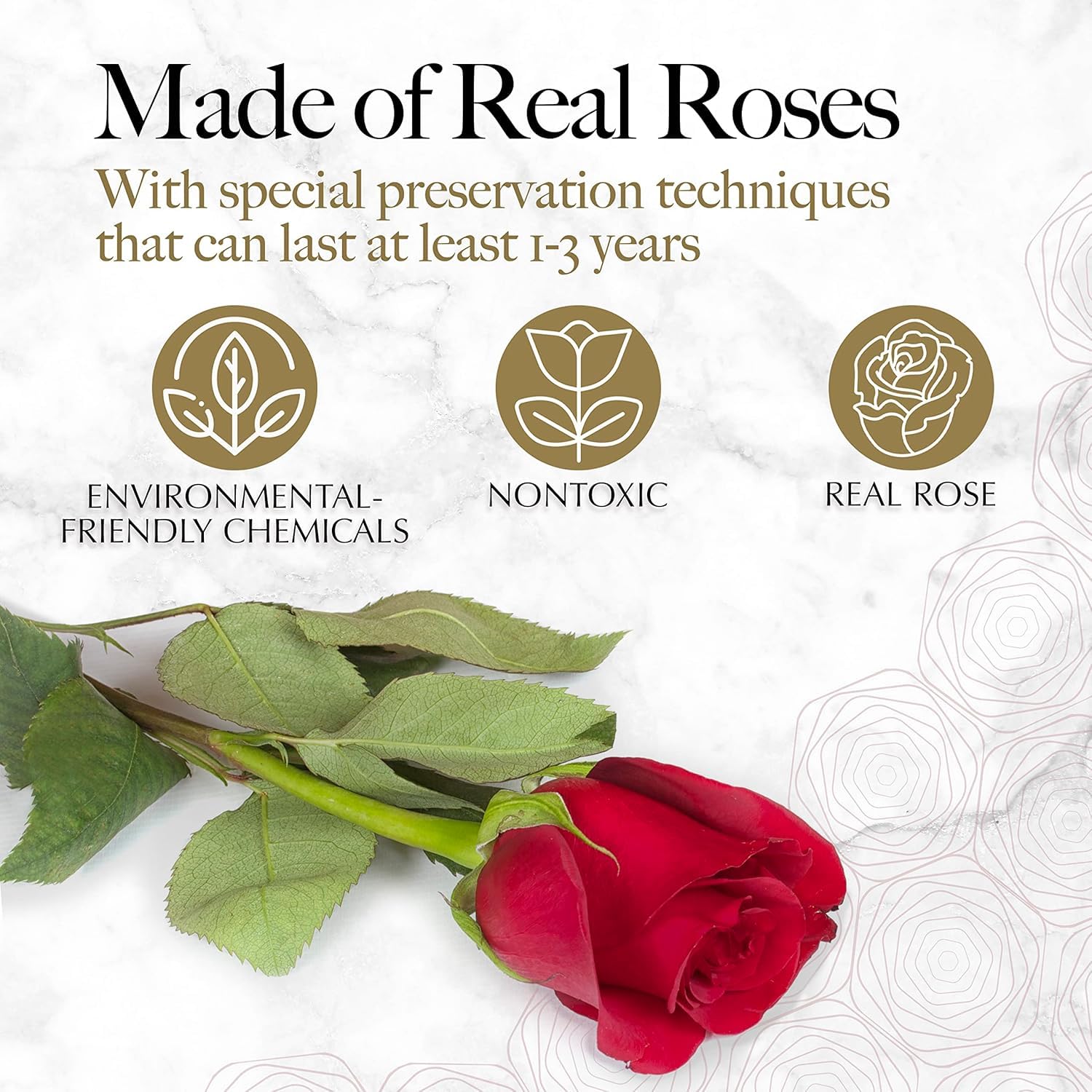 Scatola di rosa conservata, 16-18 rose vere fiori eterni con scatola a forma di cuore, rosa eterna per ultime 3-5 anni per la mamma San Valentino decorazioni per feste di compleanno (rosa