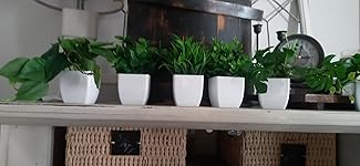 Review Image by Esmeralda Esmeralda