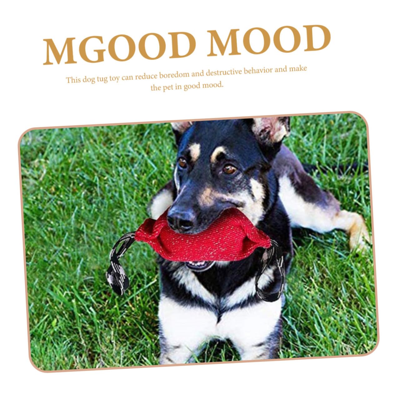Happyyami 2piezas Almohada De Entrenamiento para Perros Juguete Interactivo De Tirar y Morder Equipamiento De Adiestramiento para Cachorros Fabricada Resistente y Duradera para Ejercicios De