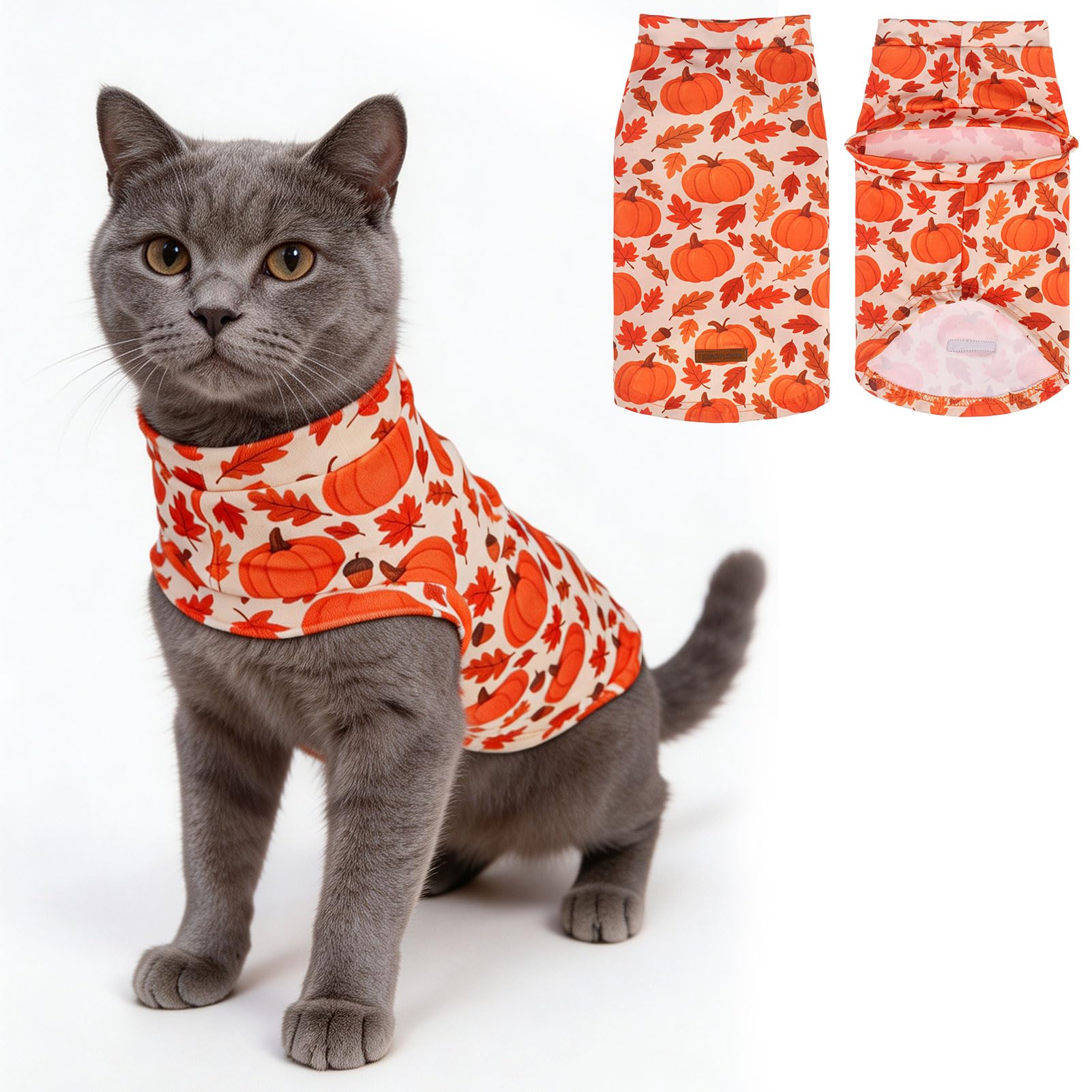 EXPAWLORER Cat Jumper Warm Fleece Cat Clothes, Autumn M