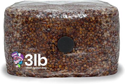 Premium 3lb Sterile Grain Bag | Pre-Hydrated Substrate with Self-Sealing Injection Port & Filter Patch | Mycology Growing & Inoculation Supply - Ready to Use