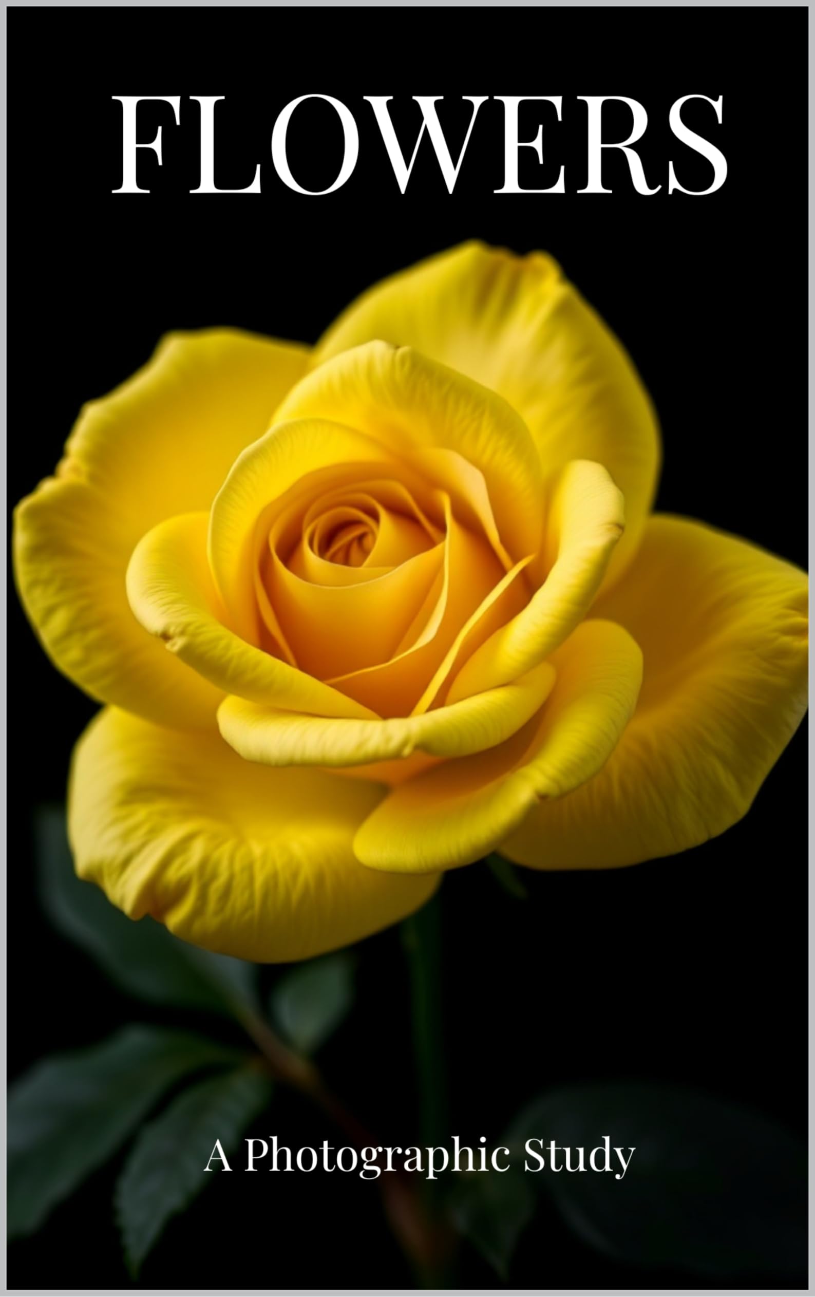 Flowers A Photographic Study sublimez votre salon avec ce livre photo