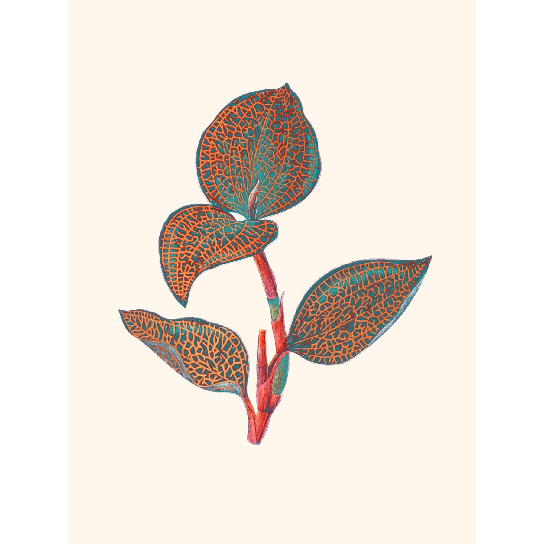 Wee Blue Coo Primary Coloured Exotic Flora Art Print Poster Wall Decor