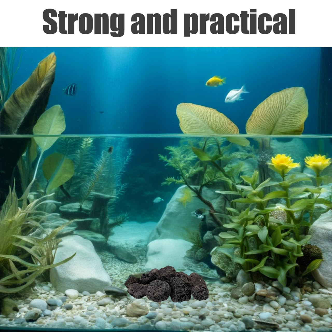 Yardenfun Rocas VolcáNicas Naturales Para Plantas En Macetas DecoracióN De JardíN Relleno De JarróN Y Acuario Piedra VolcáNica Para Peces Artesanía De Piedra 300G Paquete