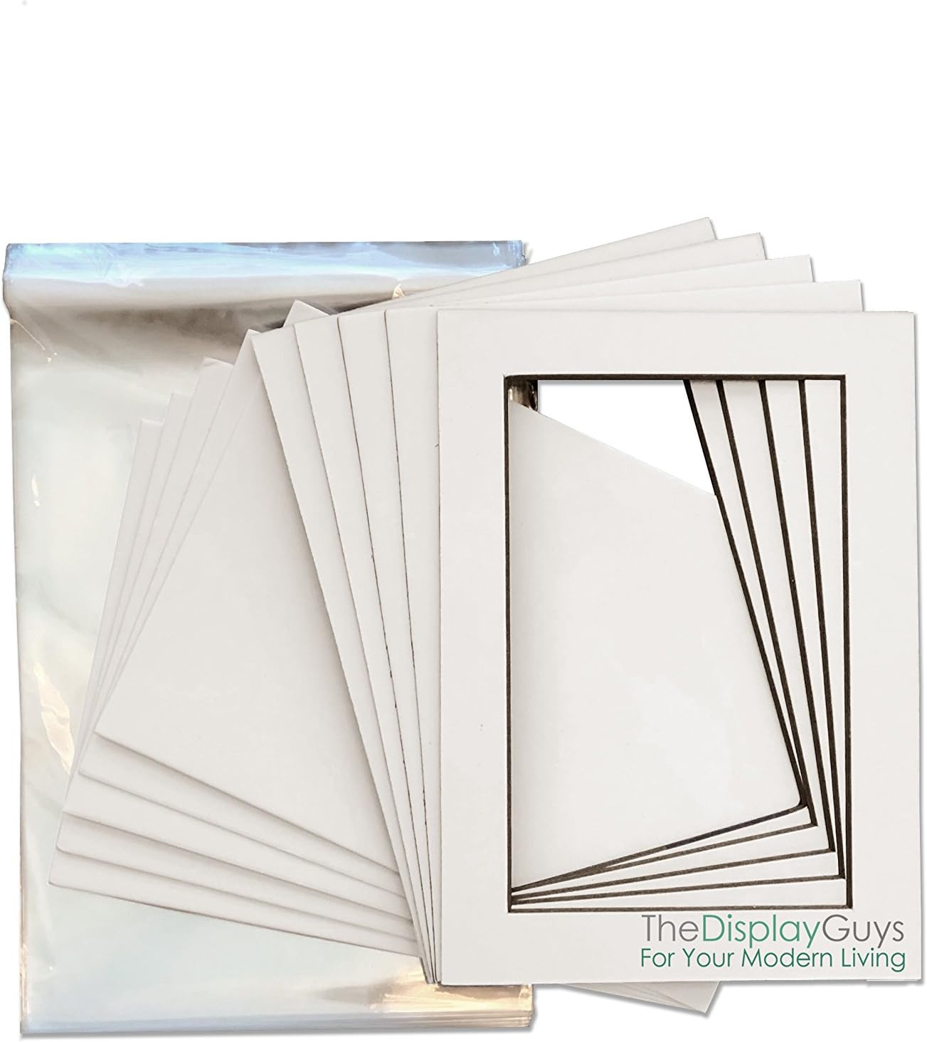 THE DISPLAY GUYS Professional 18x24 Pack of 25 Deluxe White w/Black