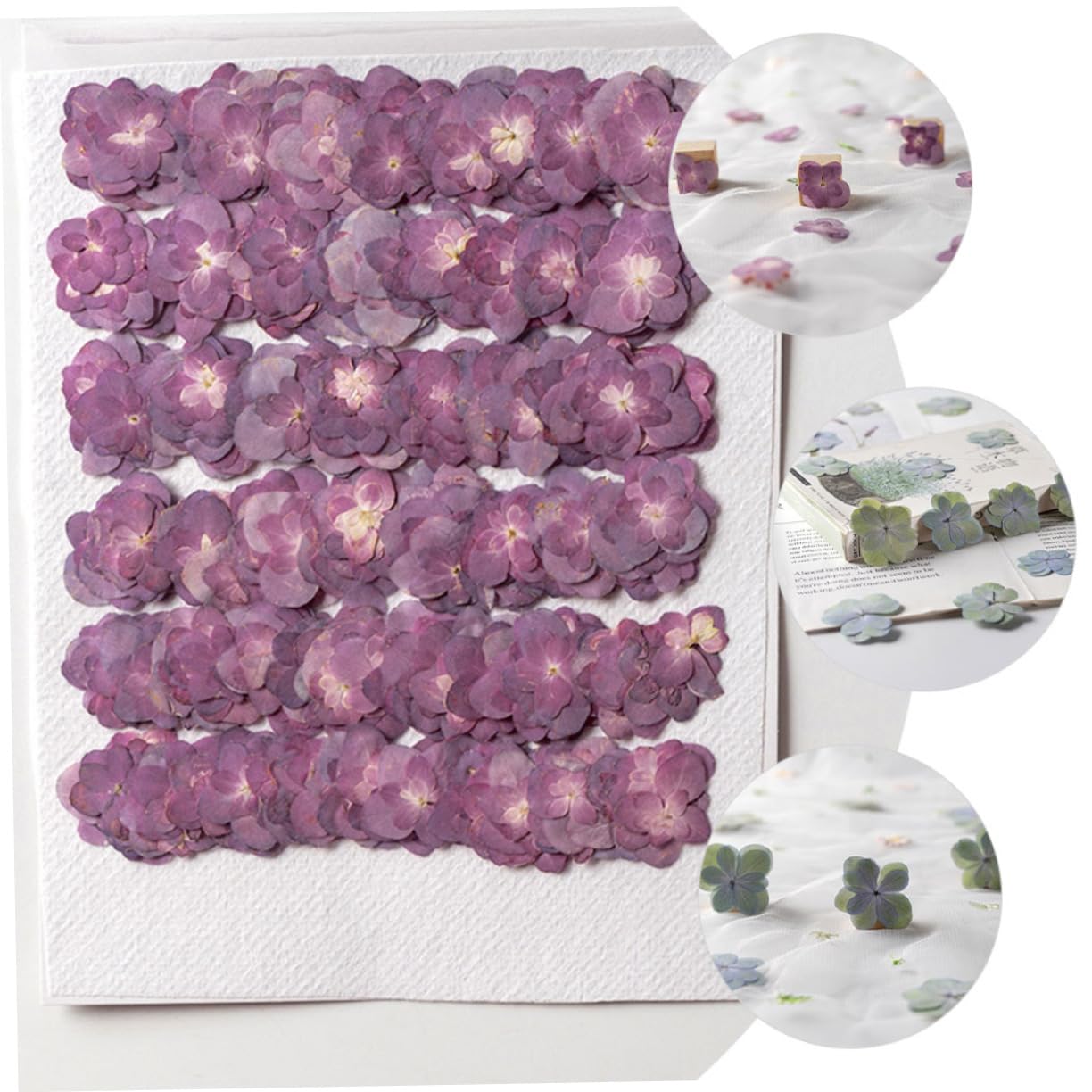 DECHOUS 5 Sets Handgefertigtes Bastelset Mit Getrockneten Blumen Mini-gepresste Blumen Für Harzprägung Dekorelemente 30 Stück * 5