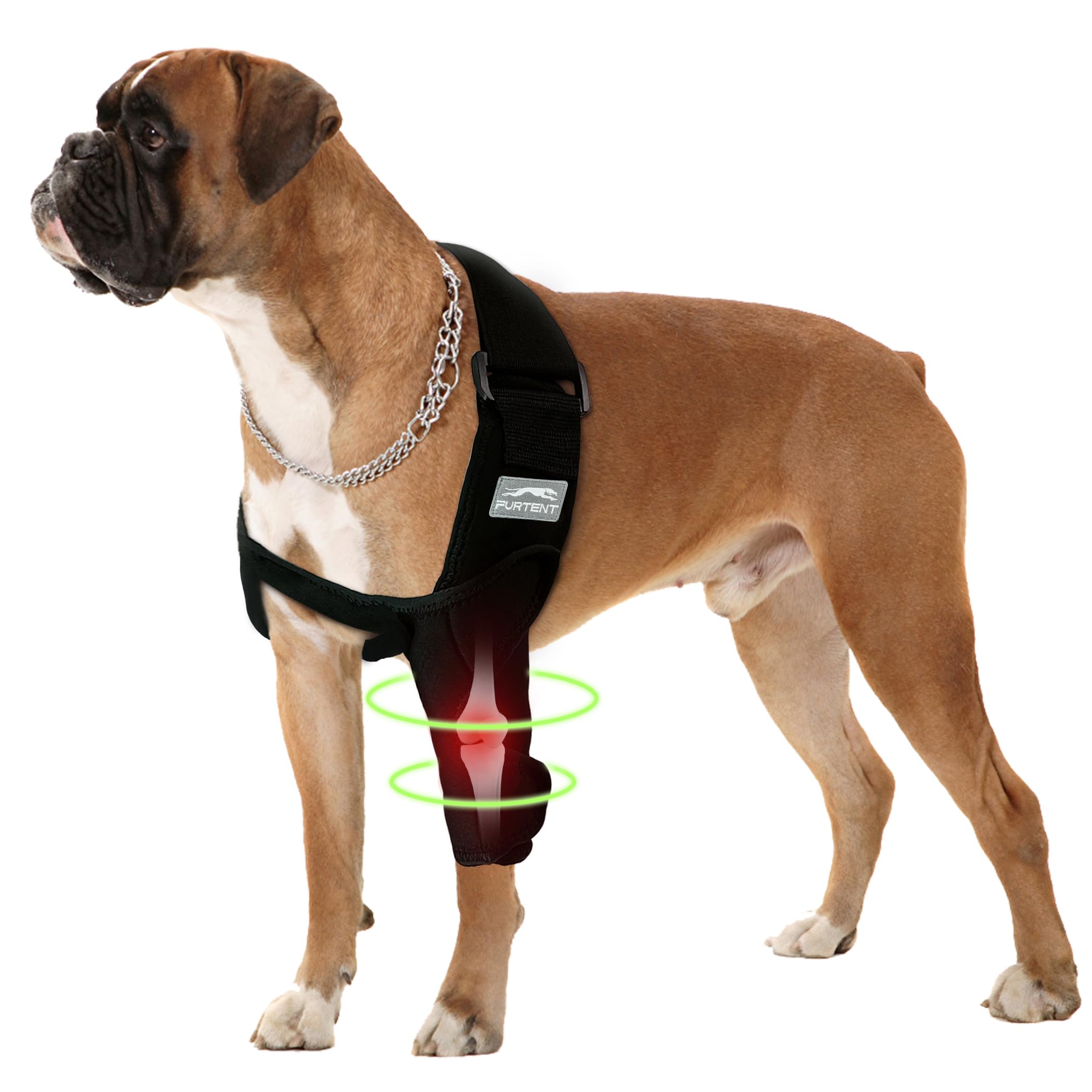 Dog Elbow Brace for Pets Elbow Dysplasia, Shoulder Dislocation - Offers Elbow Support, Dog Recovery Suit Taper Collar Alternative, Helps Wound Healing, Prevents Licking and Biting, M