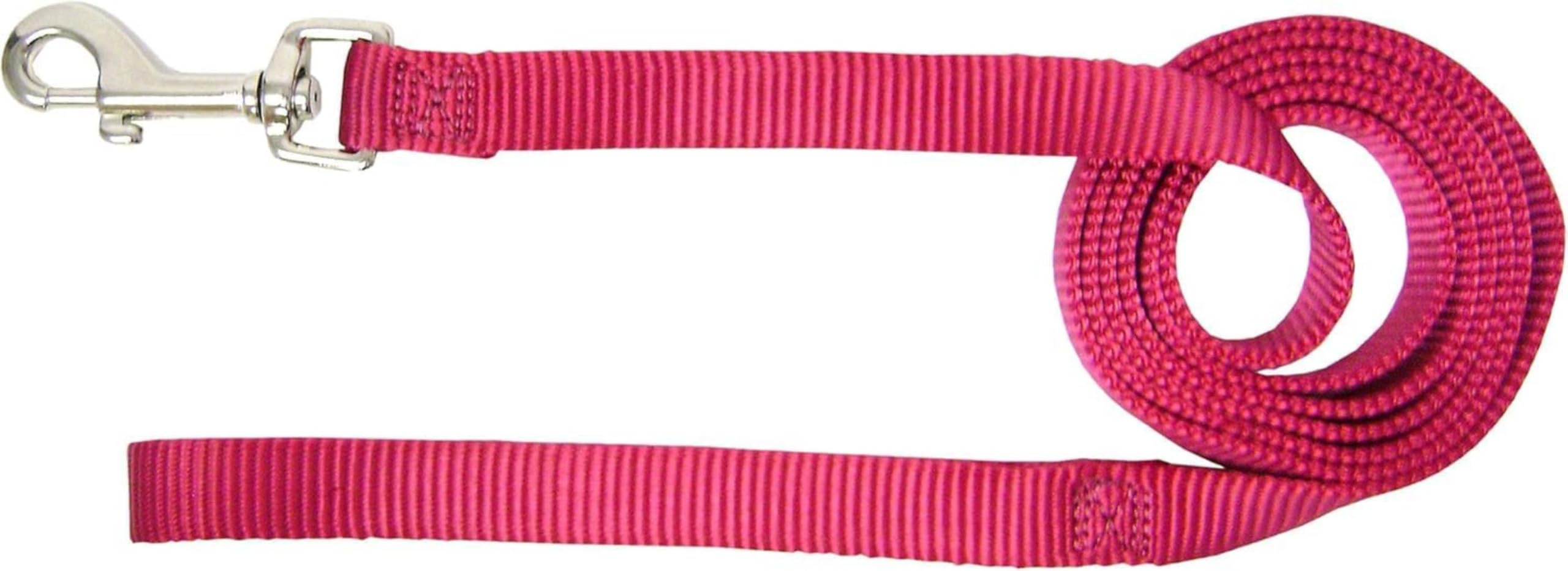 Laisse Hamilton fil de nylon deluxe simple épais anti-torsion avec mousqueton robuste