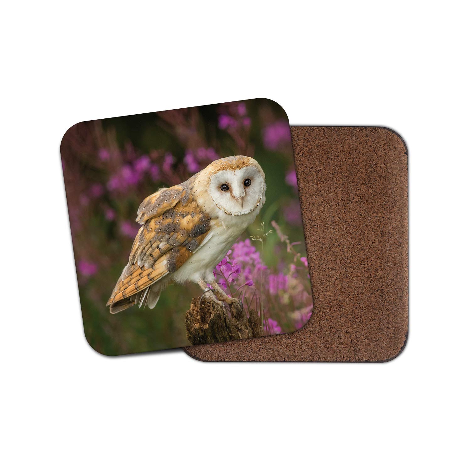 1 x Pretty Barn Owl Coaster - Bird Prey British Wildlife Flowers Animals #15813