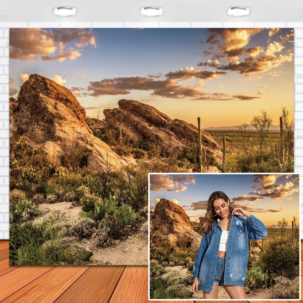 Leowefowa 10x8ft Vinyl Desert Photo Background Backdrop Weathered Rock Cactus Plane Sunset Photography Background Adventure Travel Hiking Theme
