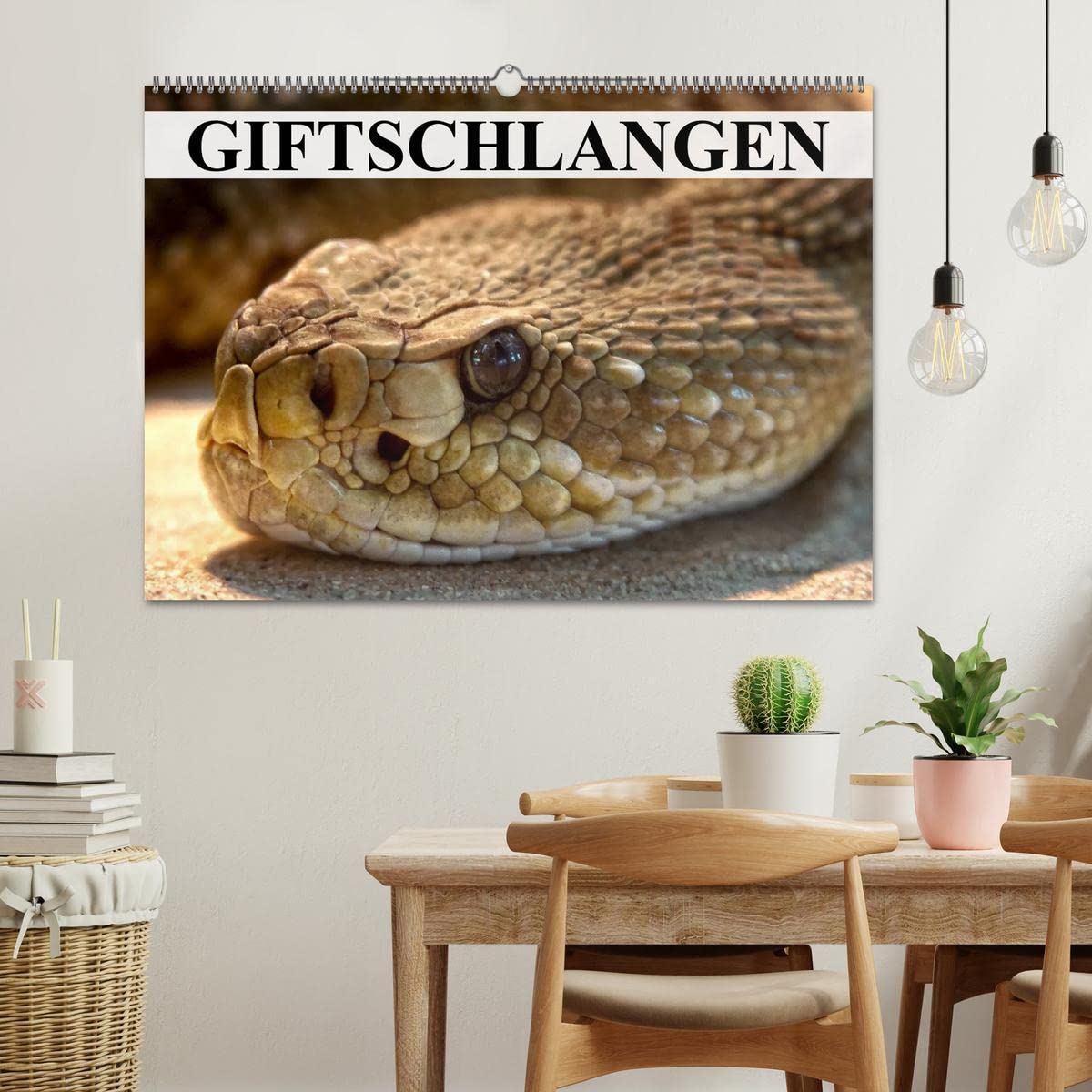Giftschlangen (Wandkalender 2026 DIN A2 quer), CALVENDO Monatskalender: Die Familie der Vipern, Ottern und Giftnattern (CALVENDO Tiere)