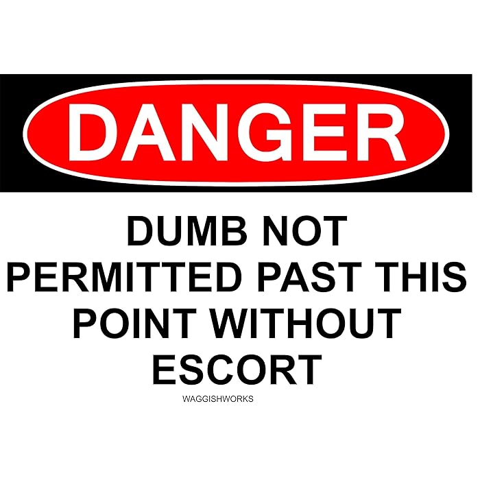 Buy Waggish Works Dumb Not Permitted Novelty Sign Danger Zone Novelty