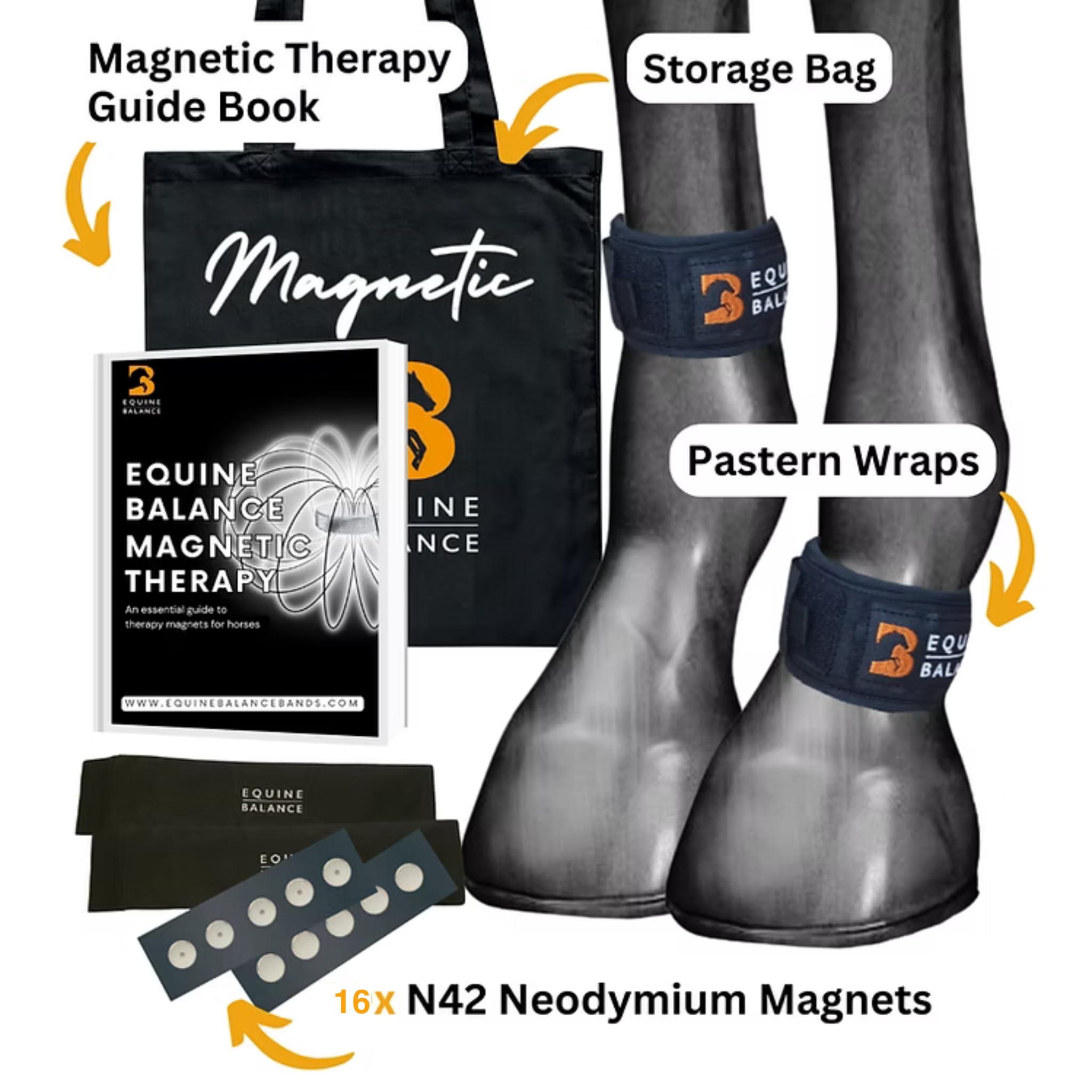 Magnetic Leg Bands for Horses. Equine Balance Magnetic Therapy Pastern Wraps for Horses and Ponies. Neodymium magnets for hoof, fetlock, knee and hock (Standard) - 3