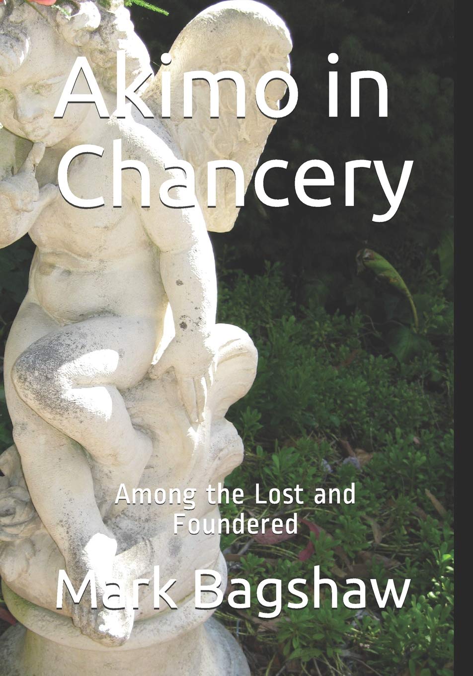 Akimo in Chancery: Among the Lost and Foundered
