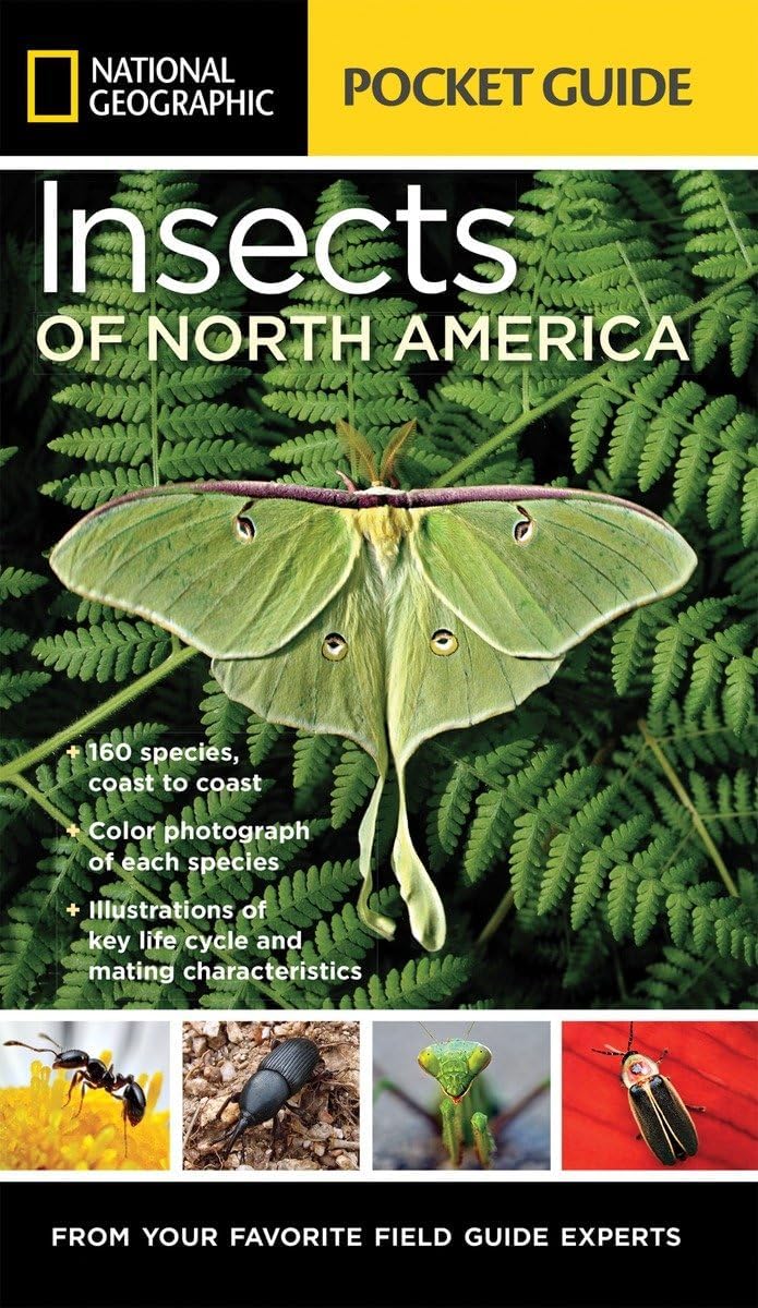 NATIONAL GEOGRAPHIC POCKET GUIDE TO INSECTS OF NORTH AMERICA