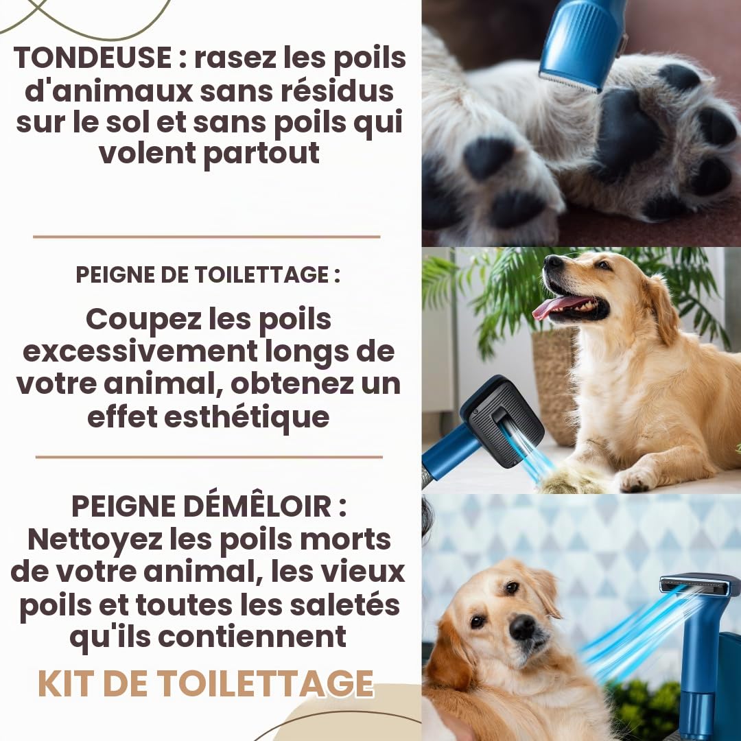 BEHOME Aspiration et Toilettage Chiens et Chats, Aspirateur Chien et Chat, Aspiration Poils Animaux et Aspirateur, Tondeuse professionnelle 6 accessoires, Silencieux