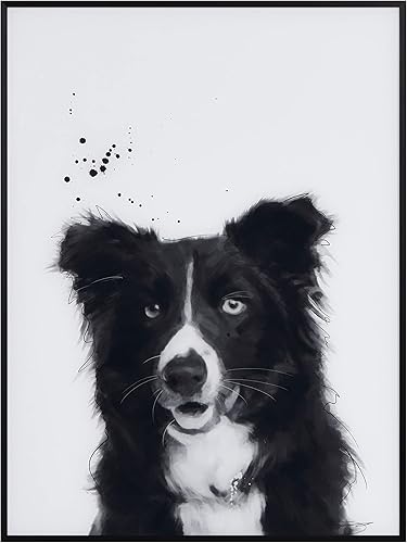 Empire Art Direct Border Collie - Arte de pared de perro blanco y negro sobre vidrio impreso recubierto con un marco anodizado negro, listo para
