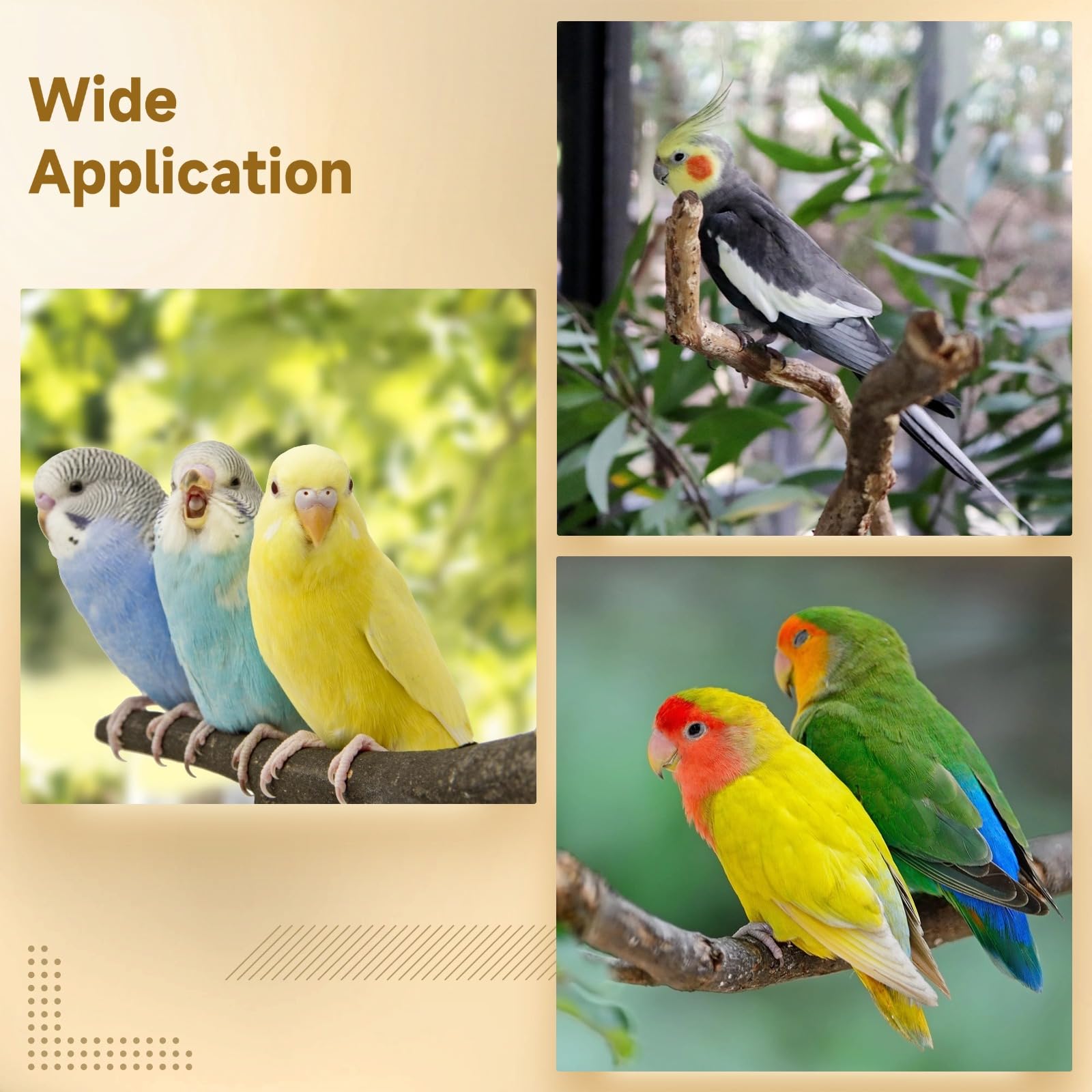 5 PCS Wood Bird Perches, Natural Grape Wood Branches with Mounts, Bird Stand and Paw Grinding Accessories, Cage Perches for Parakeet, Cockatiel, Conure, Budgie - image 5