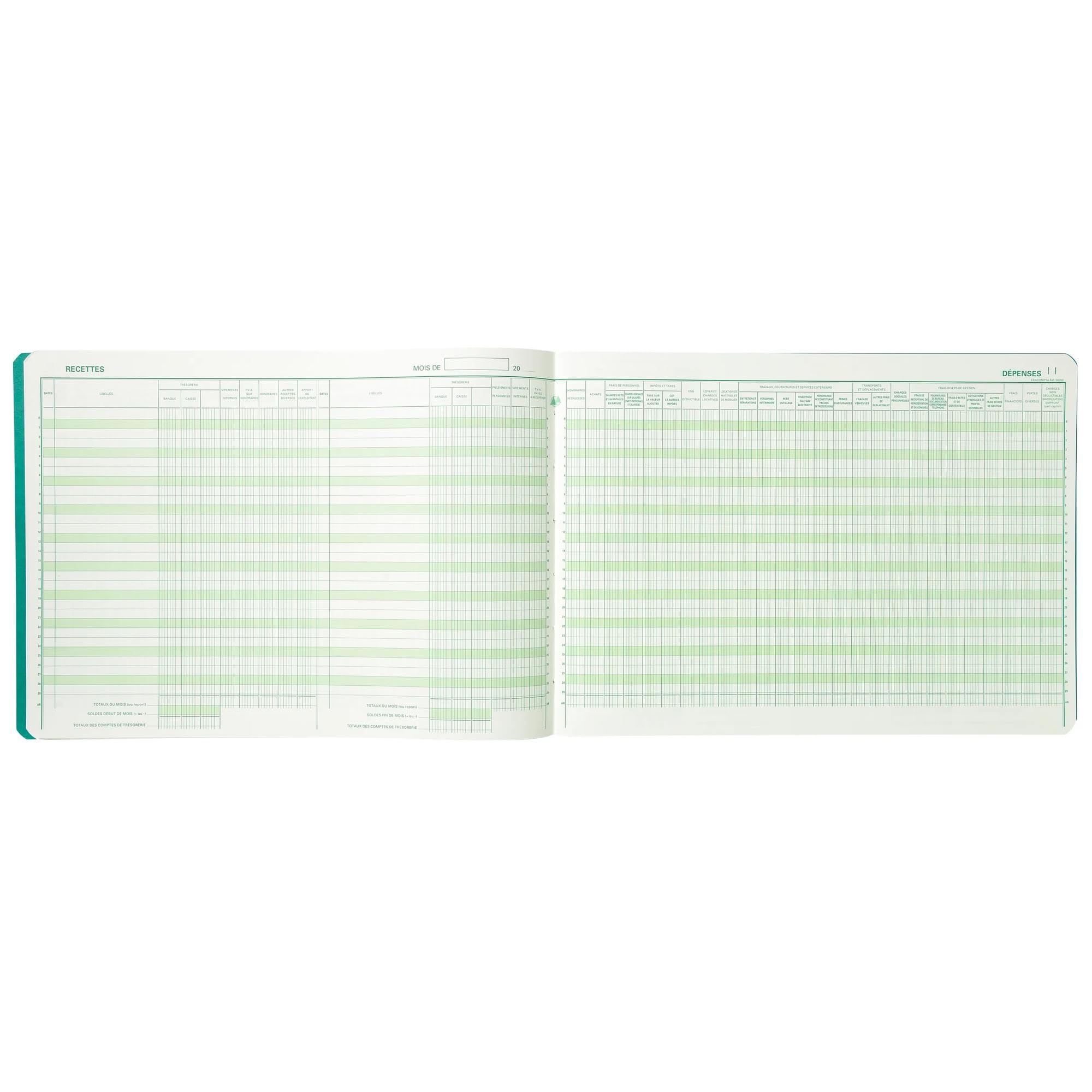 Exacompta – ref.9620E – Diario de gastos e ingresos para profesionales liberalse, de 27 x 38 cm y con 80 páginas. Colores aleatorios.