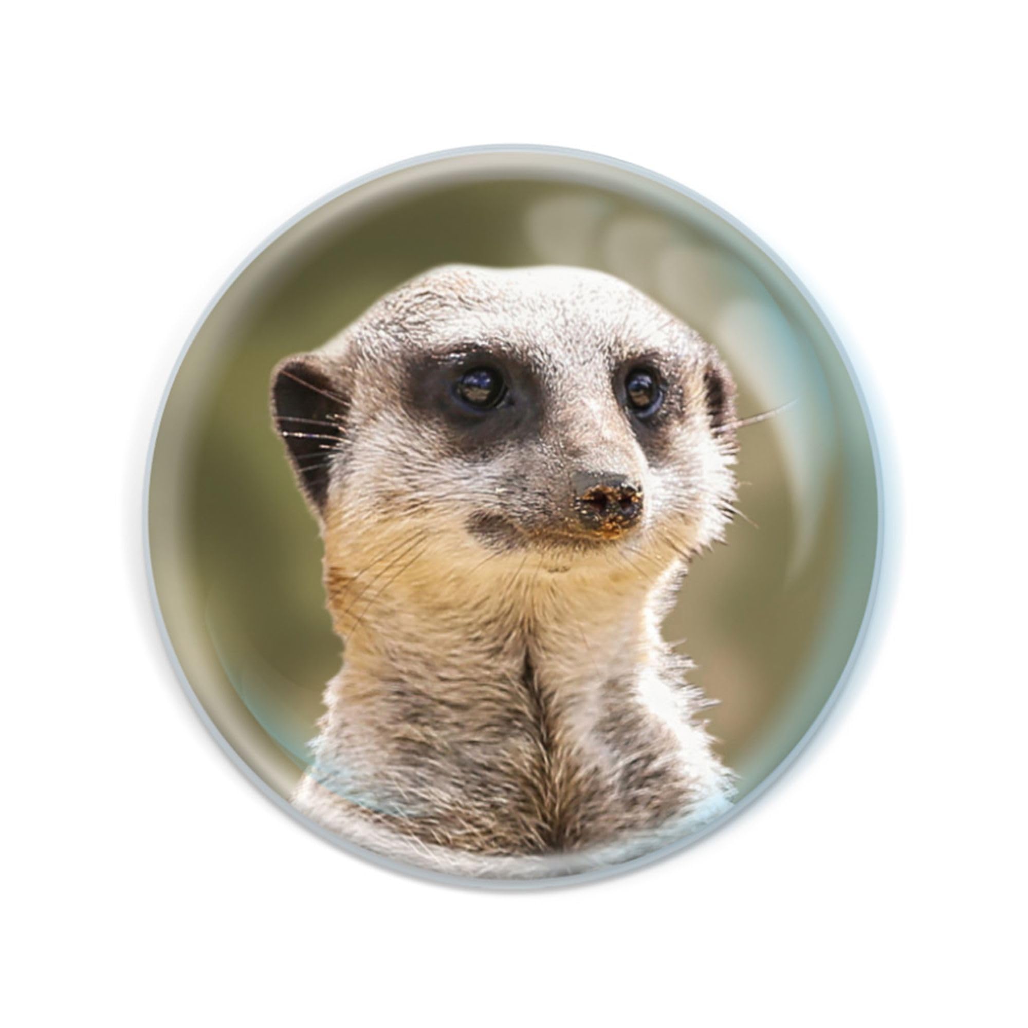 Deluxebase Magnidome Meerkat Fridge Magnet – Crystal Glass Dome Animal Magnets for Fridges, Decorative Strong Magnet for Kitchen Accessories, Novelty Gifts and Cute Home Decor.