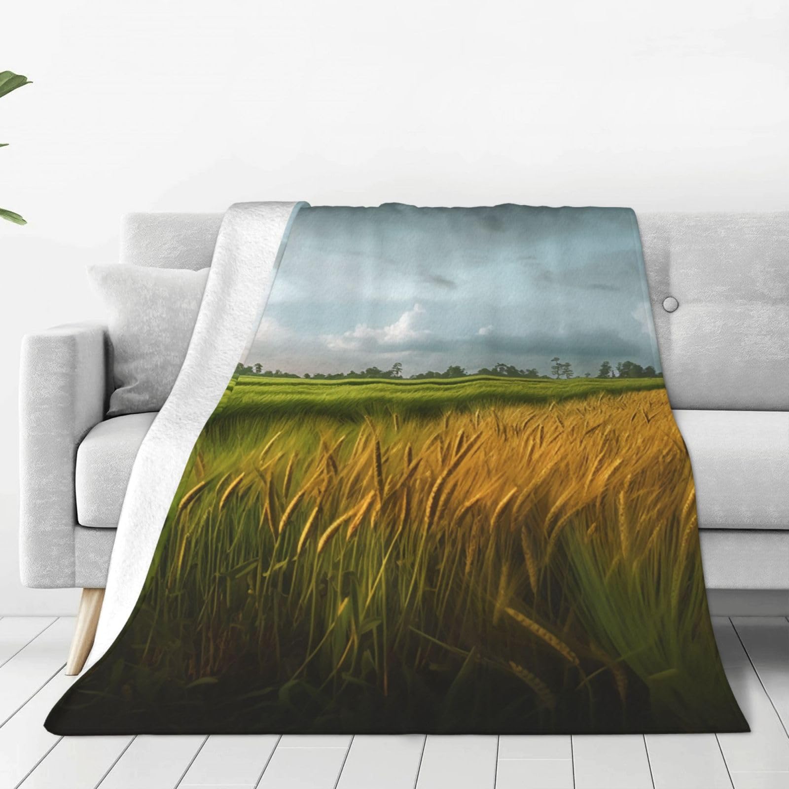 Paddy Rice Field Throw Blanket for Couch, Plush Fuzzy Soft Flannel Blankets and Throws for Sofa, 40"x30" Bed Blankets for Travel Camping Chair, All Season Warm Fleece Blanket