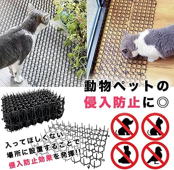 71350JjOo0L._AC_UF350,