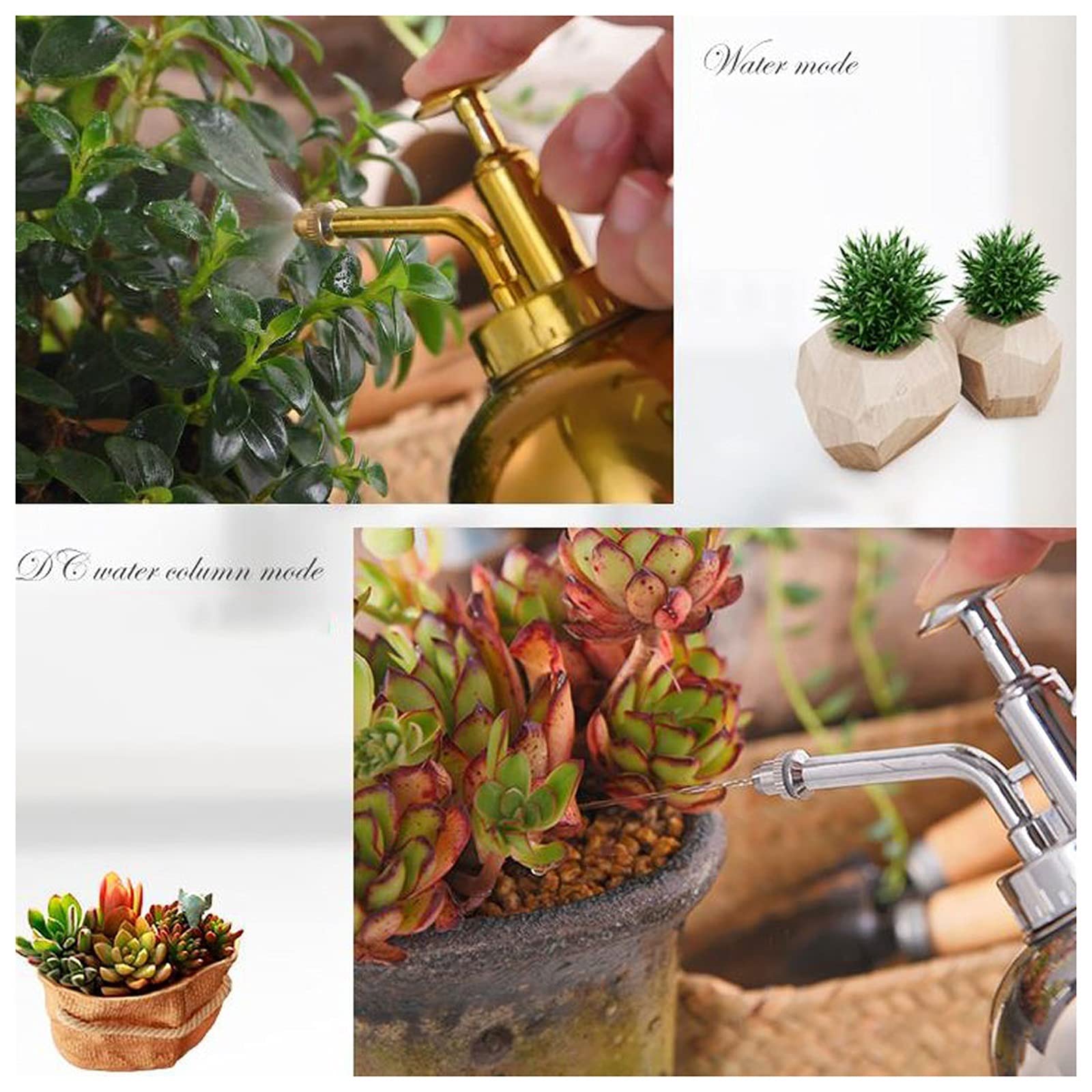 Arrosoir, arrosoir de jardin, arrosoir en acier inoxydable, mise à niveau du mini pulvérisateur de plantes, pot d'arrosage de 10 oz 300 ml for plantes de jardinage d'intérieur et d'extérieur, couleur