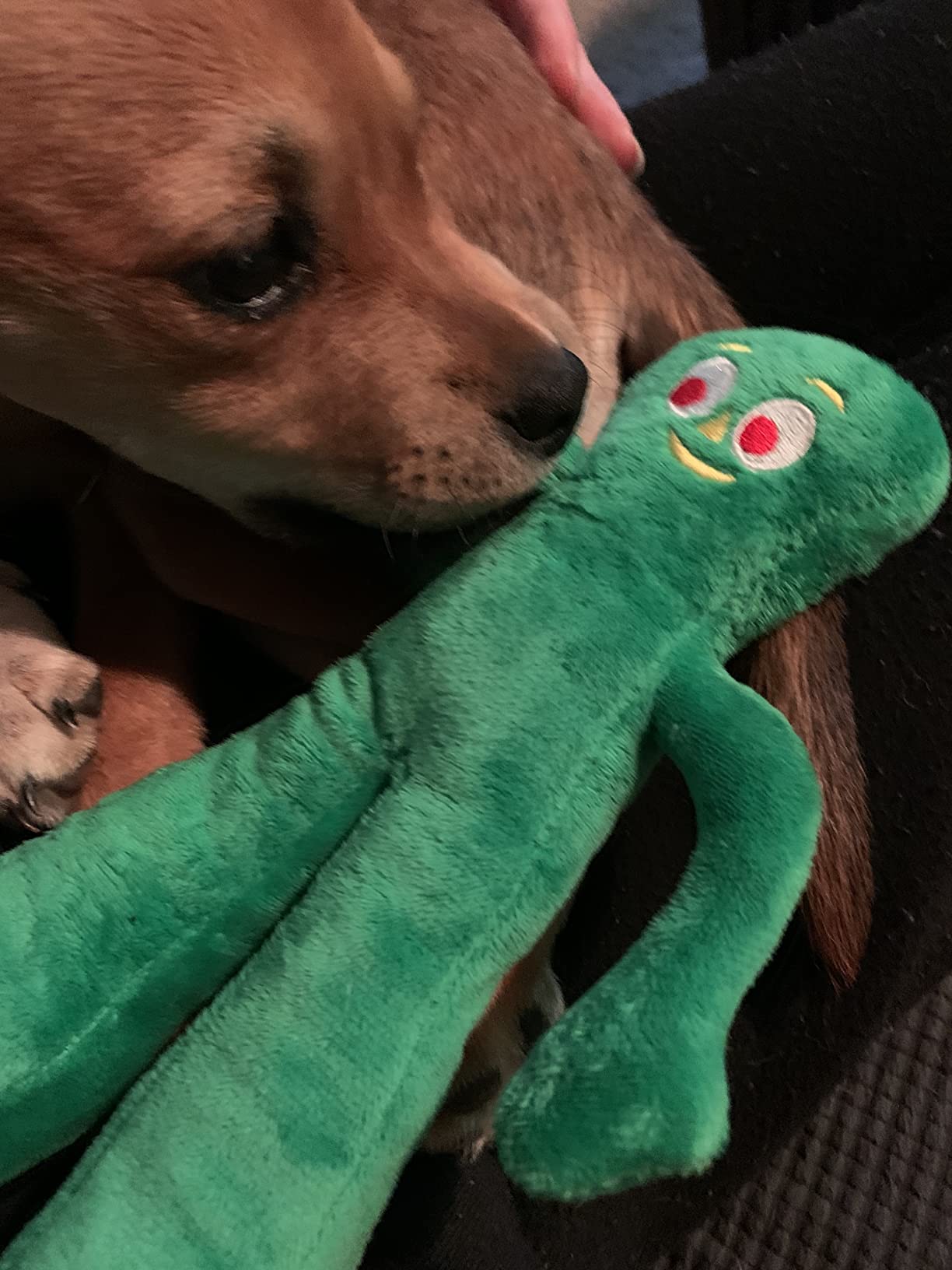 1/mo Finance Multipet Gumby Plush Filled Dog Toy, Green, 9 inch