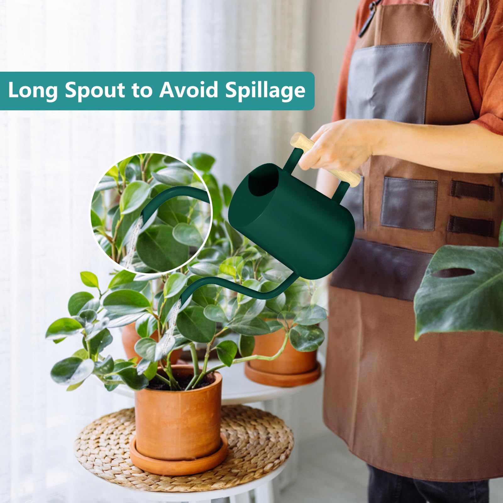 Watering Can Indoor Plants - Image 2
