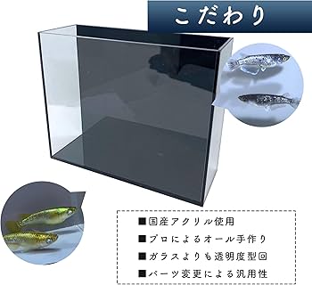 Amazon | 華めだか大阪 オリジナル ヤバいケース 二面タイプ 黒 (15.5