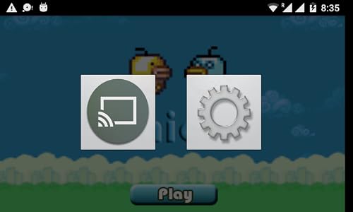 DG Screen Streamer
