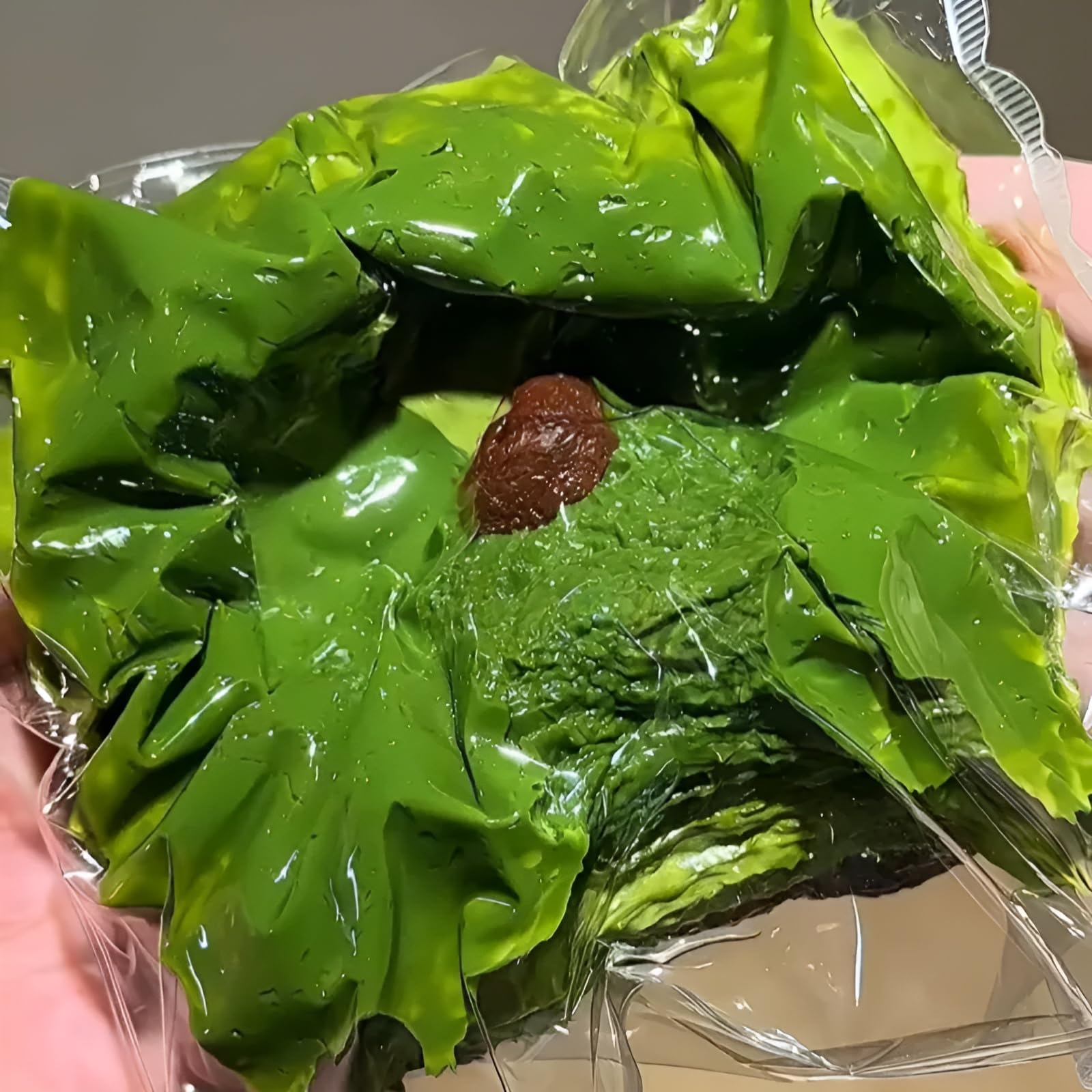 Amazon | [Koutimule]【スクイーズ】水感スクイーズ パン型触感玩具