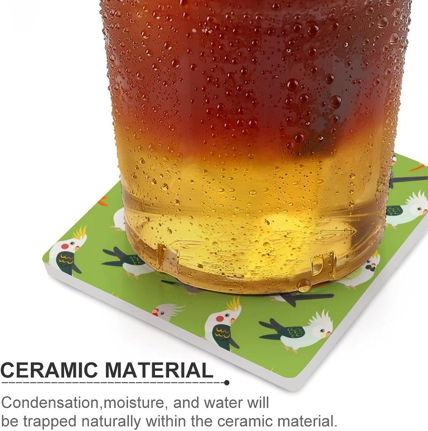 Cute Parrot Birds Coaster for Drinks Square Ceramic Table Coasters Stone Mat Crafts 6PCS Home Kitchen Decor