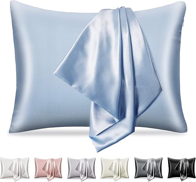 pendali Satin Pillowcase for Hair and Skin, Luxury Smooth Satin Pillow Case with Hidden Zipper, Wrinkle, Fade Resistant, 1 Pack Soft and Breathable Standard Size Pillow Cover (Blue, 19" x 26")