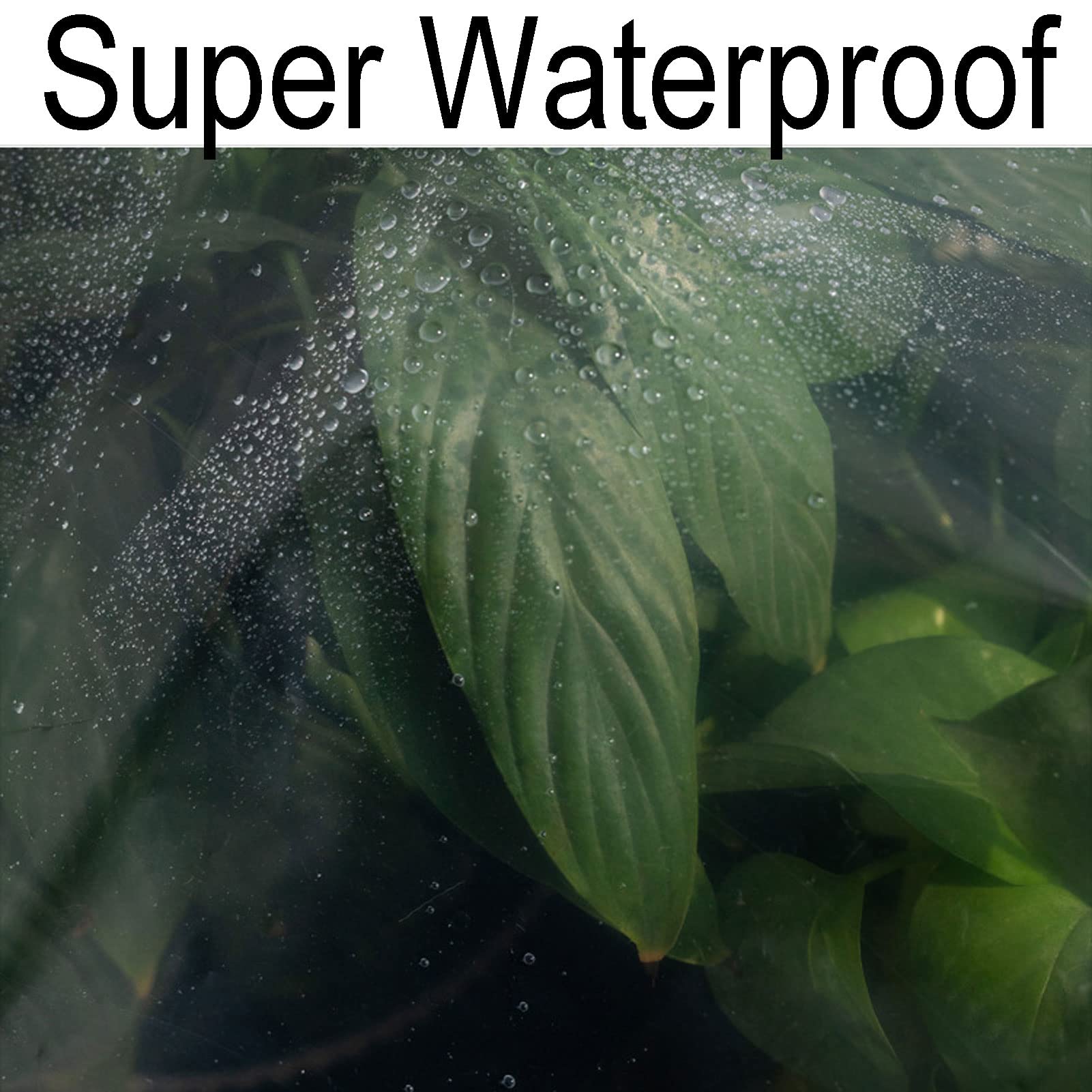 Bâche imperméable Transparente PE