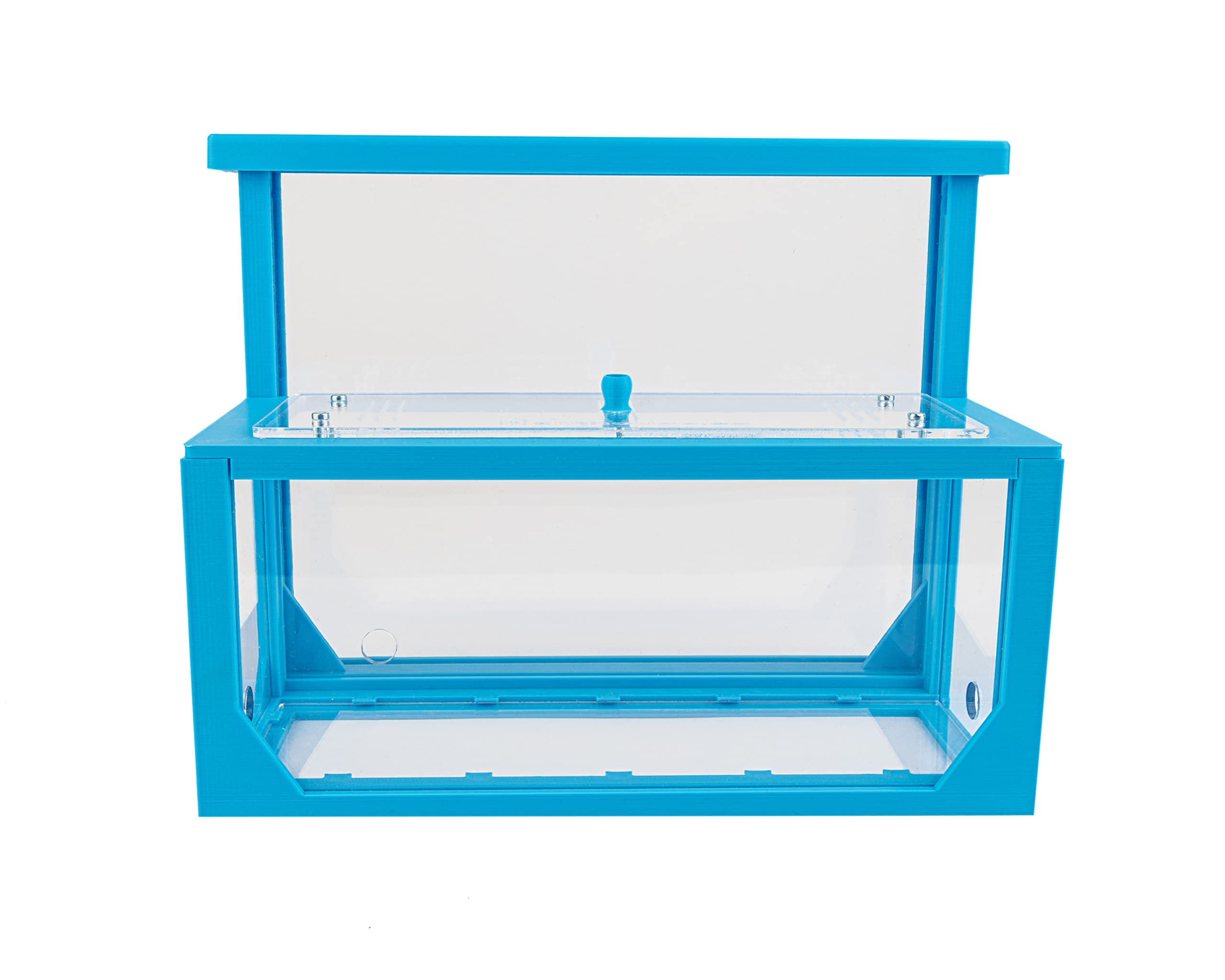 Anthouse.es - Hormiguero Natural de Arena - Kit Hormiguero 3D Forma de L (Sándwich + Caja de Forrajeo) - Granja de Hormigas con Colonia de Hormigas Incluida - 25x20x1 cm y 10x24x10 cm - Azul - 3