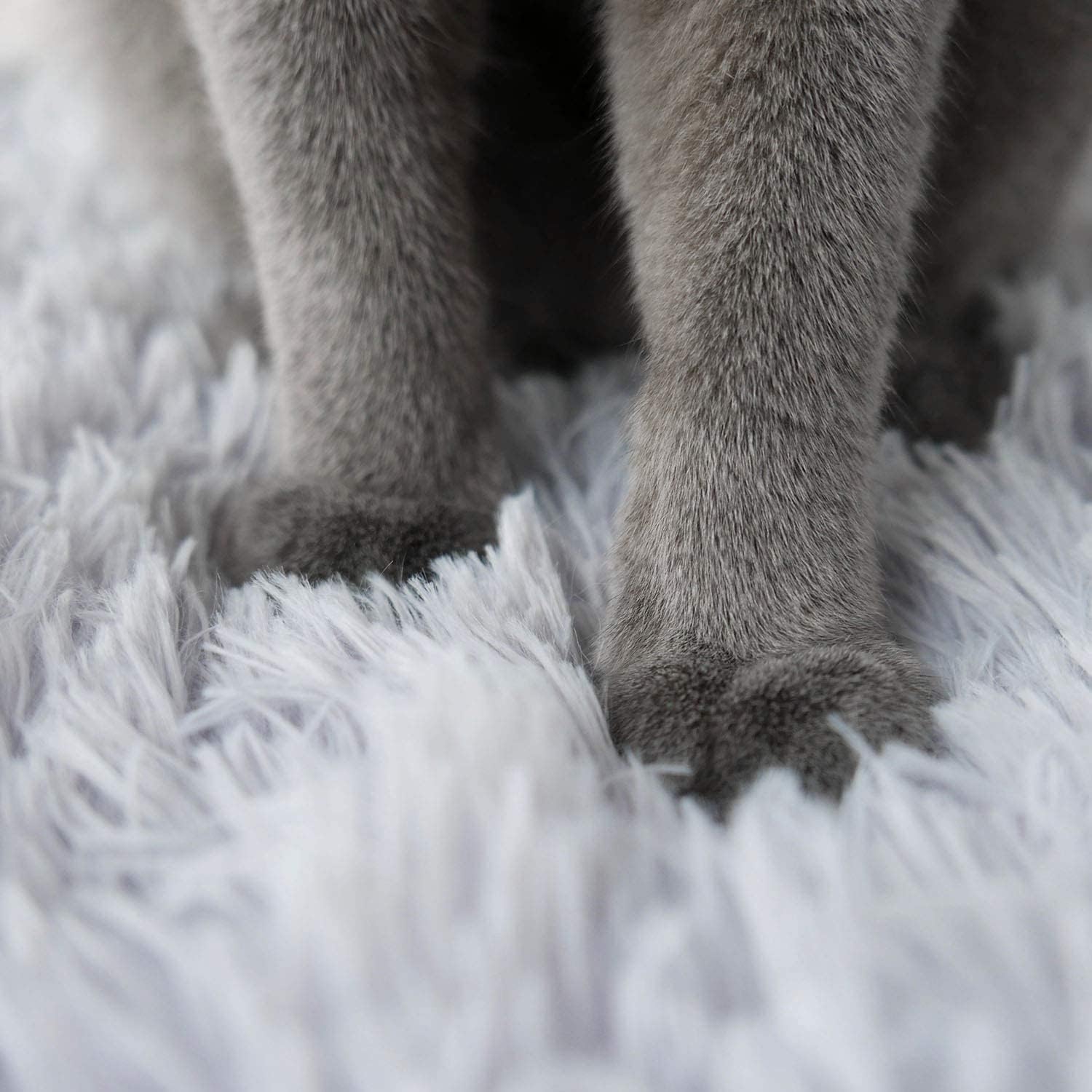 سجادة سرير للقطط ذاتية التدفئة من تراسل، بطانية نوم ناعمة 2 في 1، وسادة سرير للقطط والكلاب الصغيرة، وسادة حرارية فائقة الدفء للحيوانات الاليفة في الاماكن المغلقة والمفتوحة