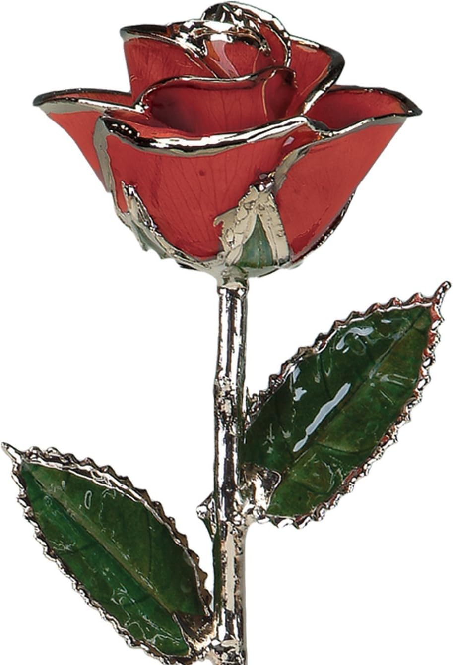 11 inch Laquered Red Rose with Platinum Trim