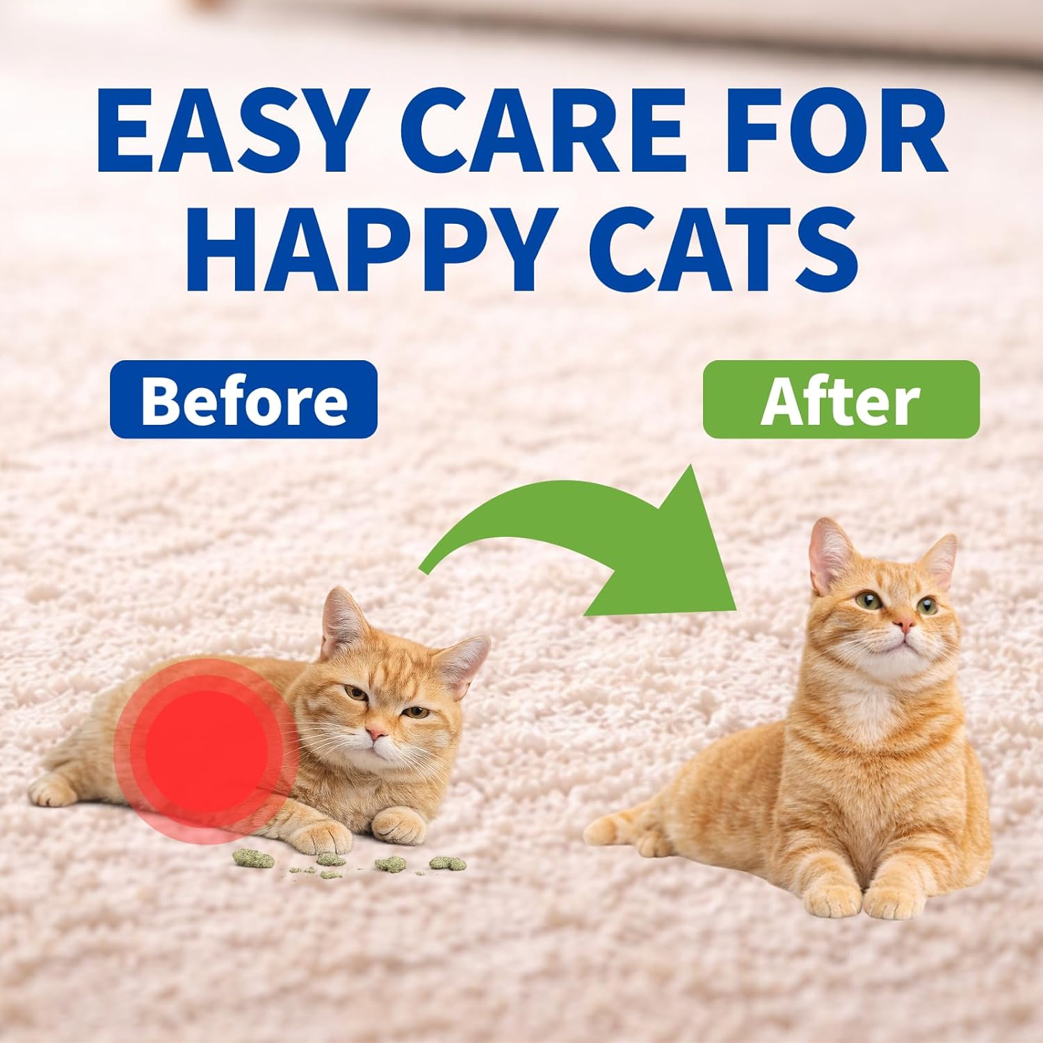 Dewormer for Cats 6 Weeks and Older, 22.2% (222 mg/g) Tablets, Fenbendazole, Cat-Specific Formula, Easy at-Home Use