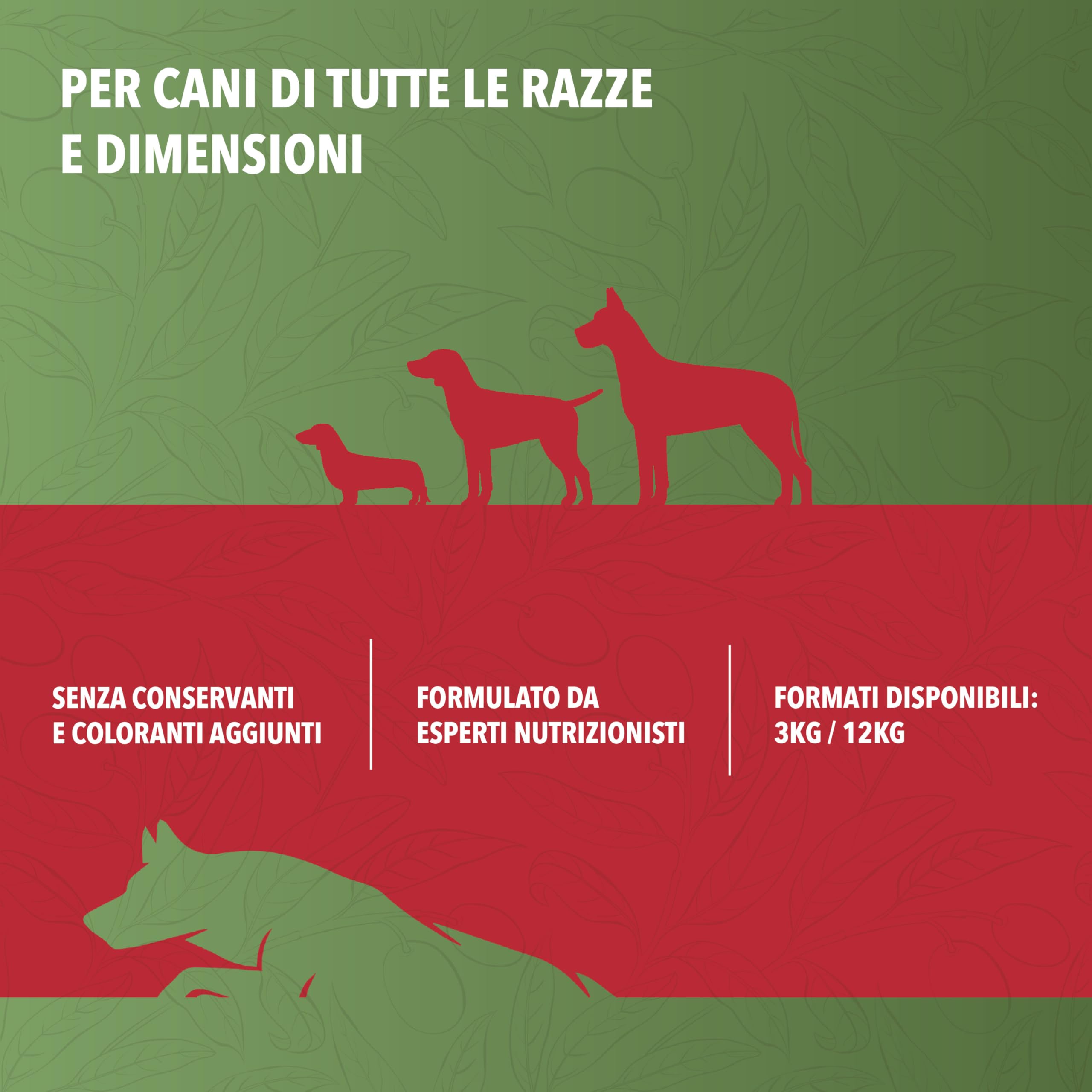 TerComposti - Triplo Pet Food Manzo e Riso 3kg x4, Ideale per Adulti di Tutte le Razze, Pelo Lucido e Folto, Crocchette Cani con Estratto di Olivo, Cibo per Cani Secco Nutriente e Bilanciato
