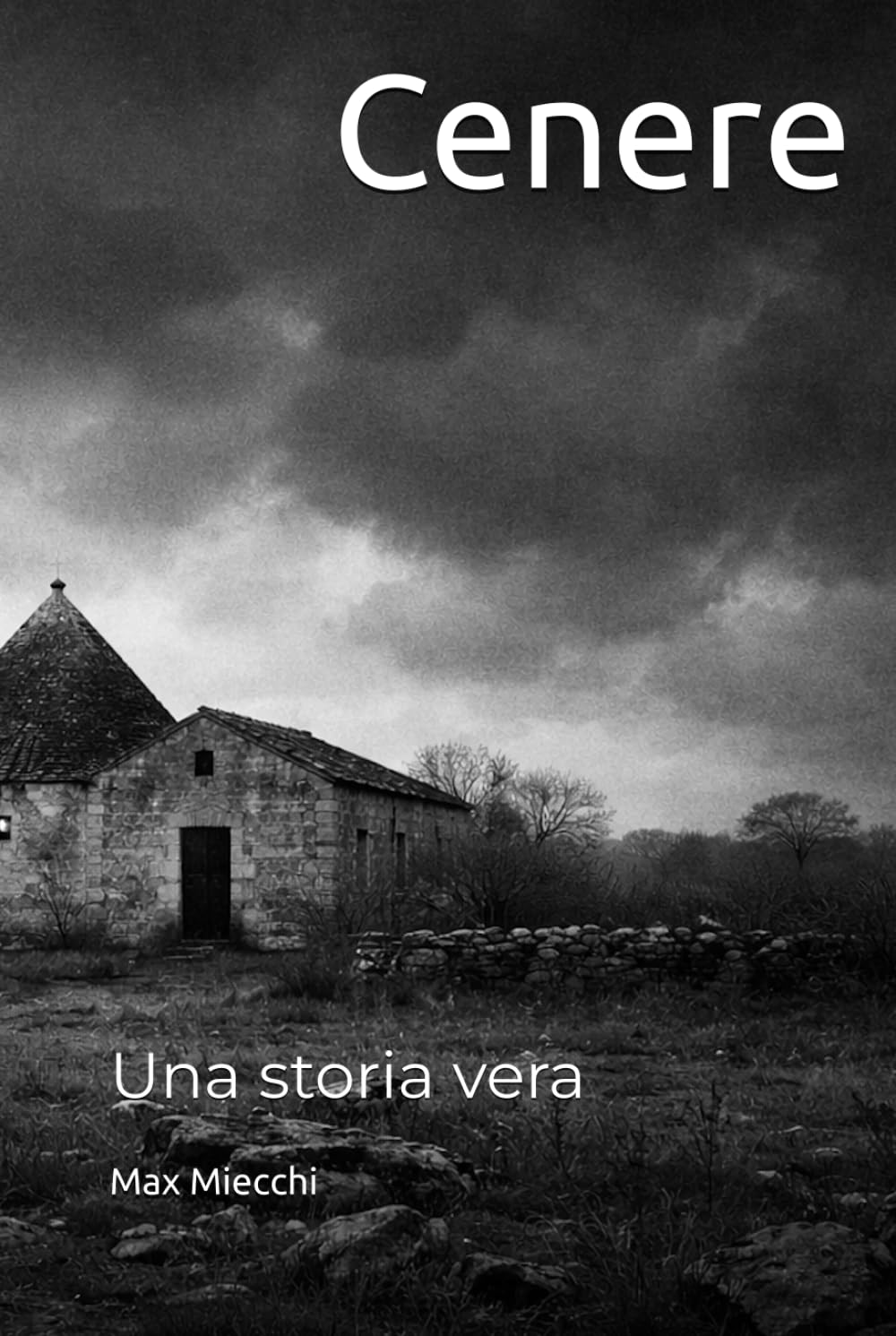 Cenere: Una storia vera (Romanzi)