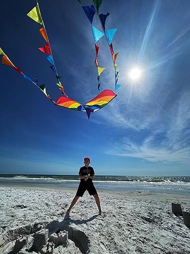 Miniatura 43 de HONBO Cometa Delta grande para niños y adultos, extremadamente fácil de volar para viajes a la playa, línea de cuerda incluida, con cola colorida