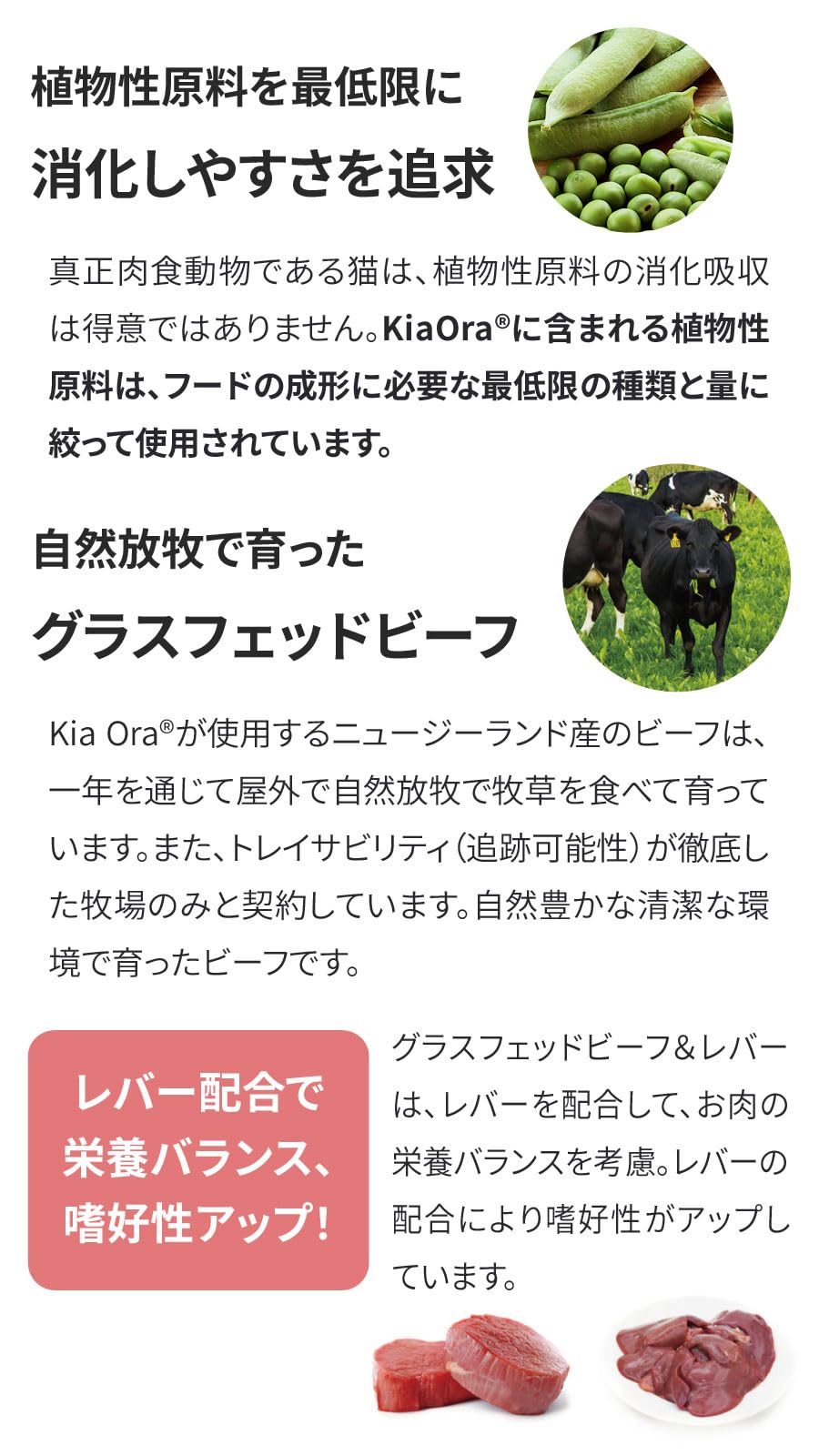 KiaOra キアオラ キャットフード ビーフ&レバー