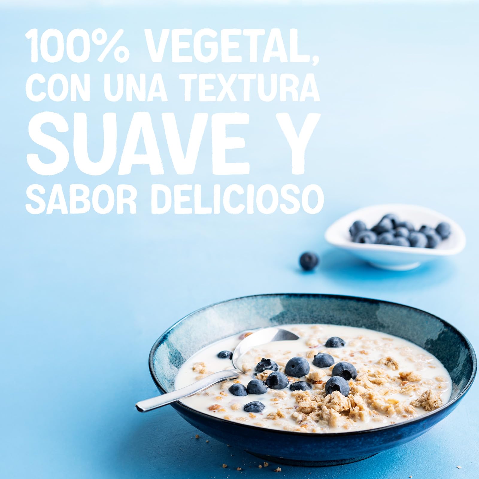Alpro Bebida Vegetal de Soja 1L